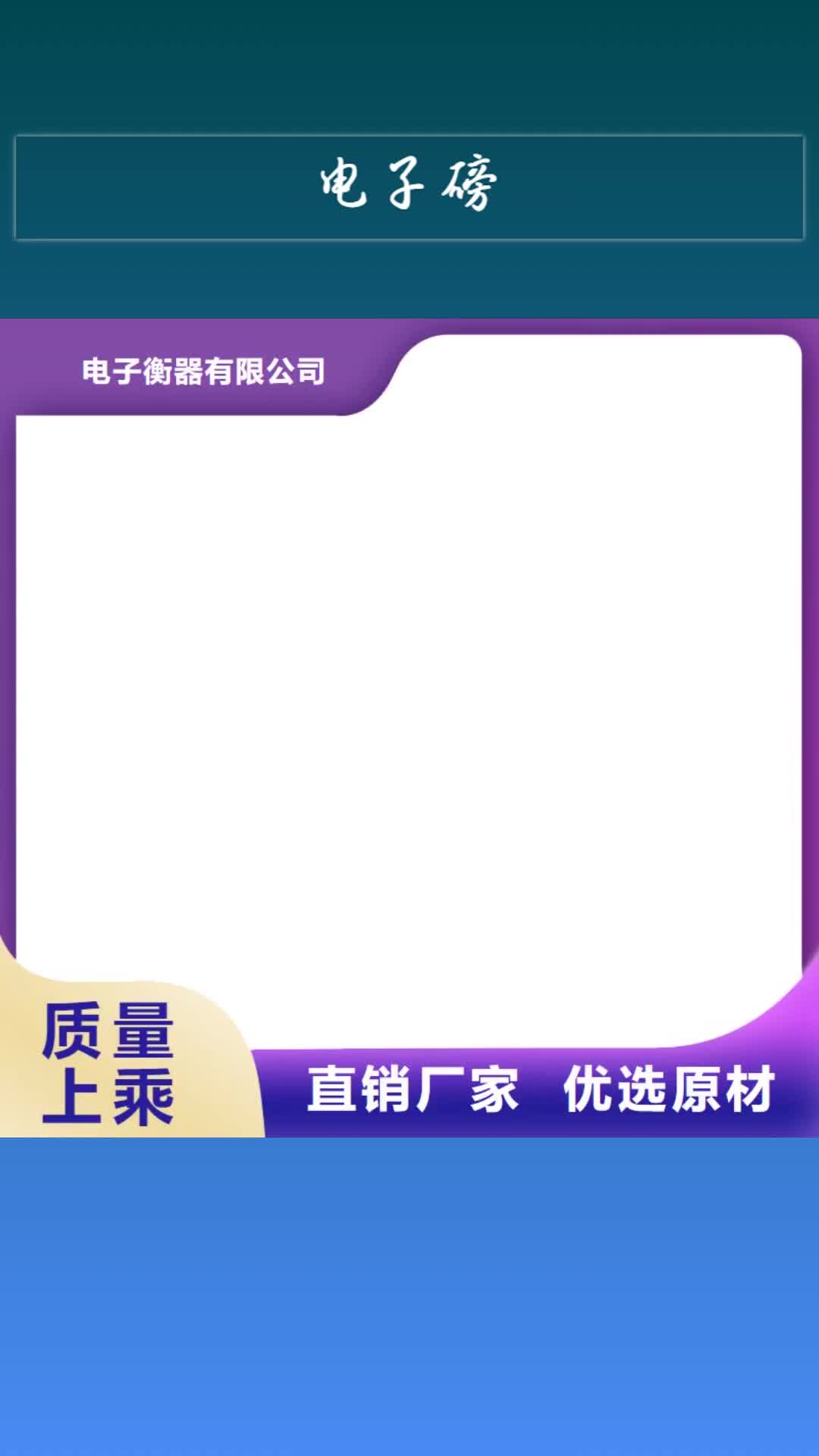 钦州【电子磅】-铲车秤品质保证
