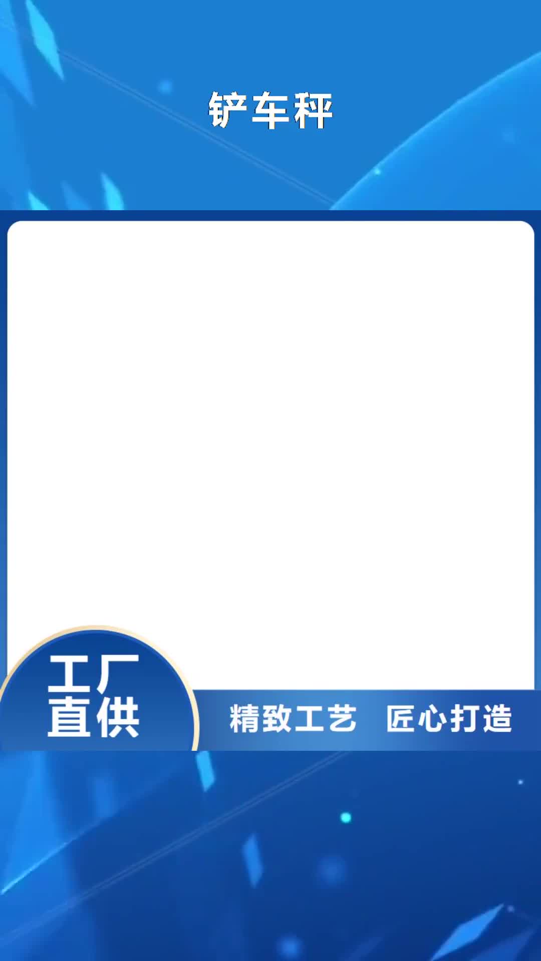 红河【铲车秤】-地磅源头厂源头货