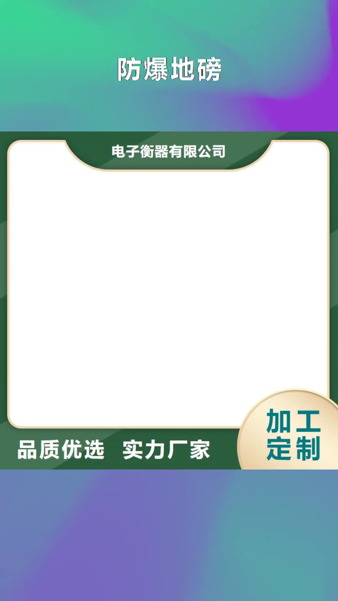 信阳【防爆地磅】-地磅细节决定品质