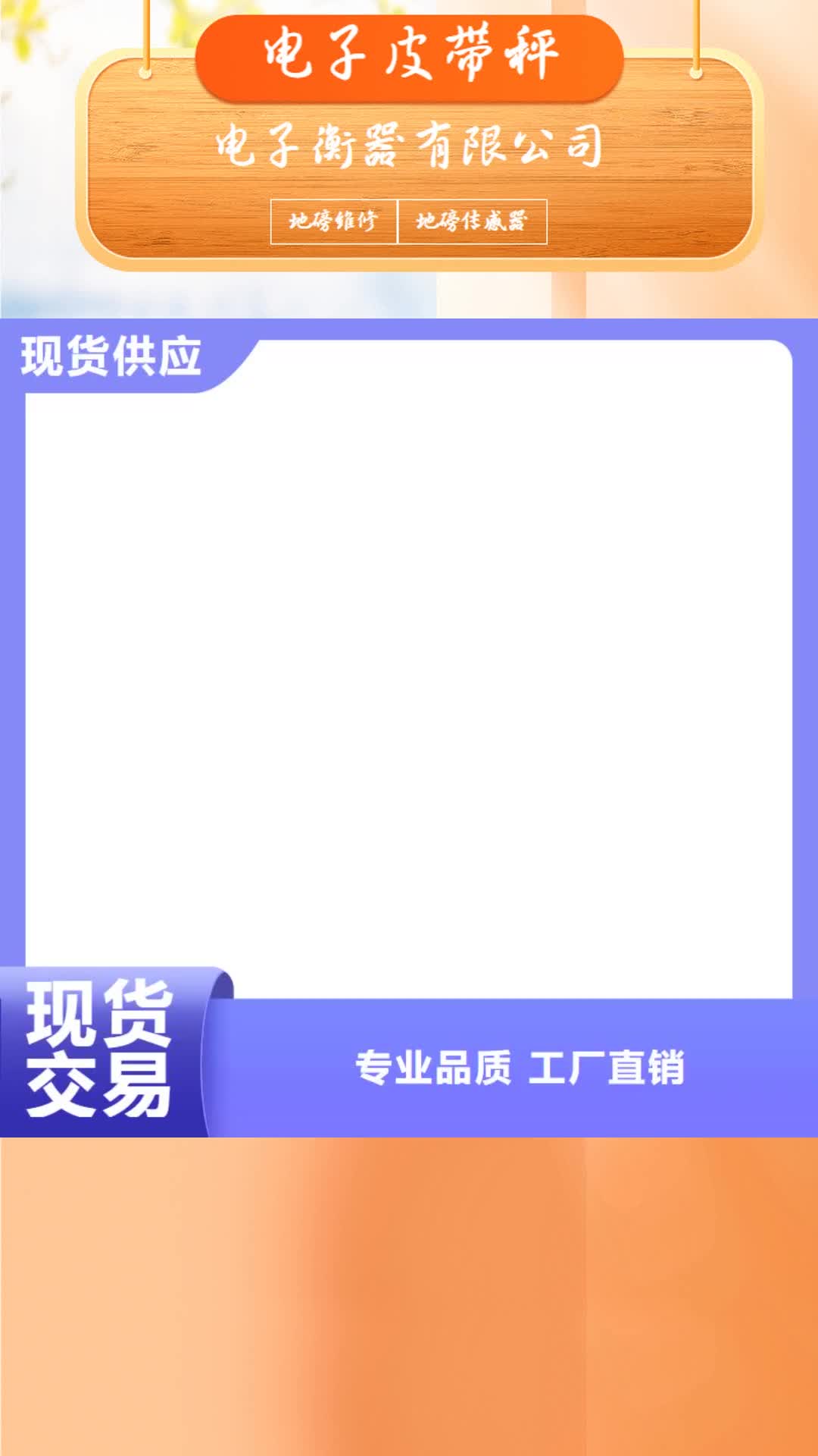 福建 电子皮带秤,【防爆地磅】品牌大厂家