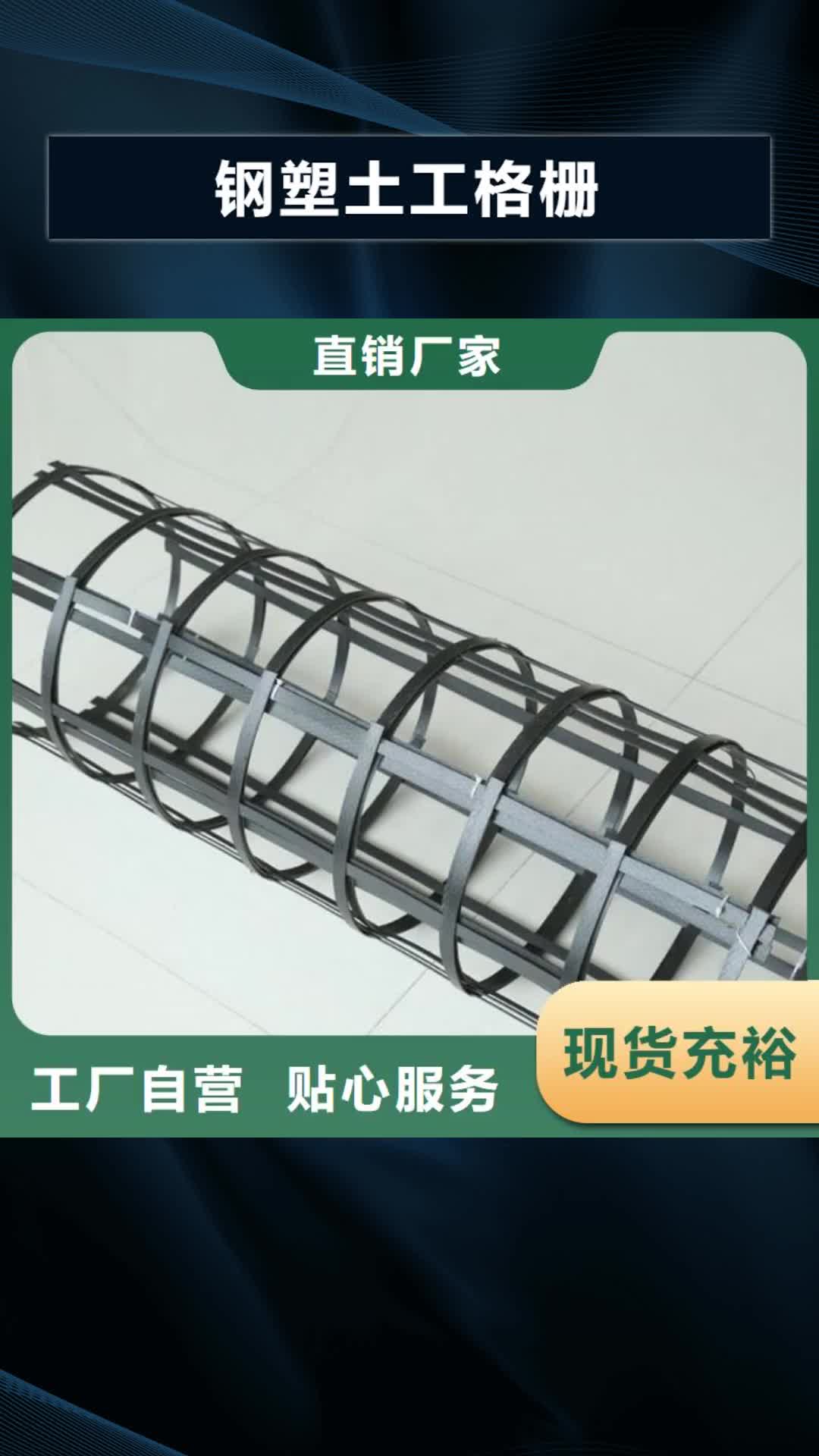 【果洛 钢塑土工格栅_三维植被网拒绝差价】