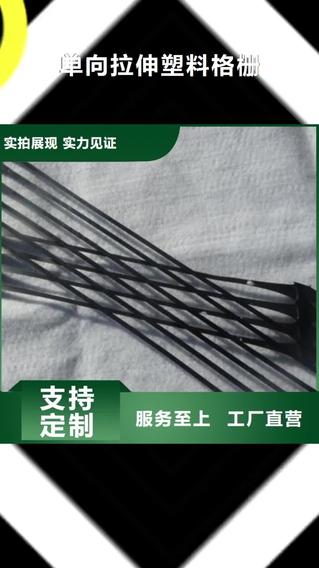 陇南 单向拉伸塑料格栅,【三维复合排水网】优选原材