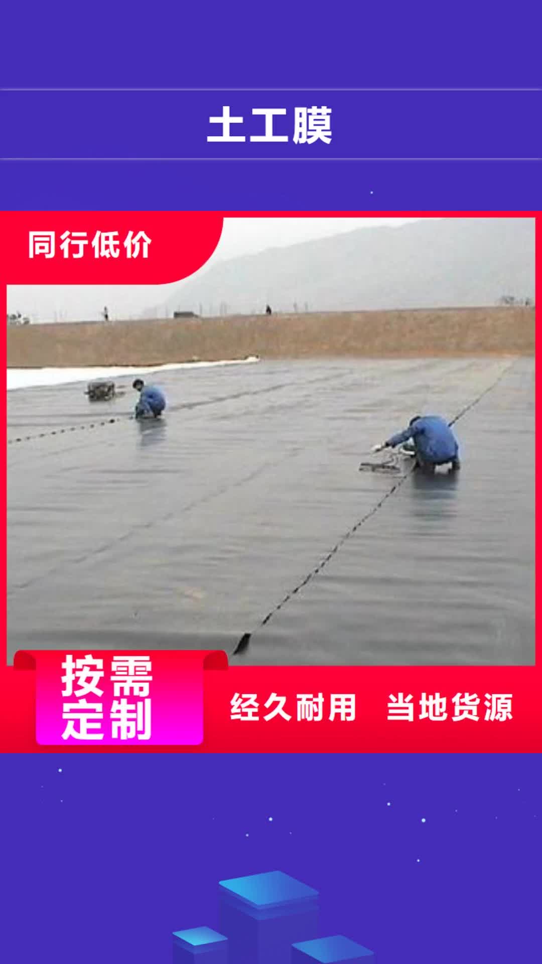 周口 土工膜,【涤纶土工格栅】放心购
