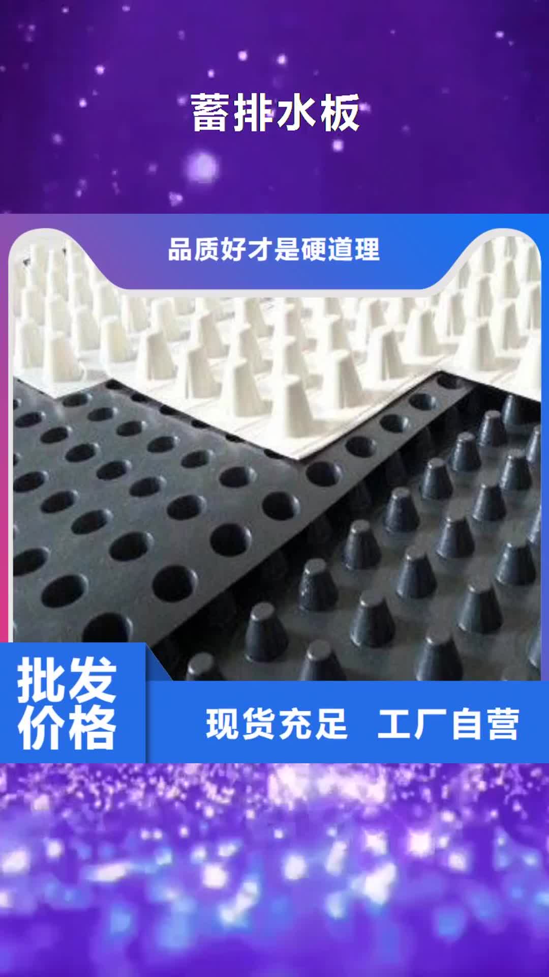 阜新 蓄排水板【钢塑土工格栅】品牌企业