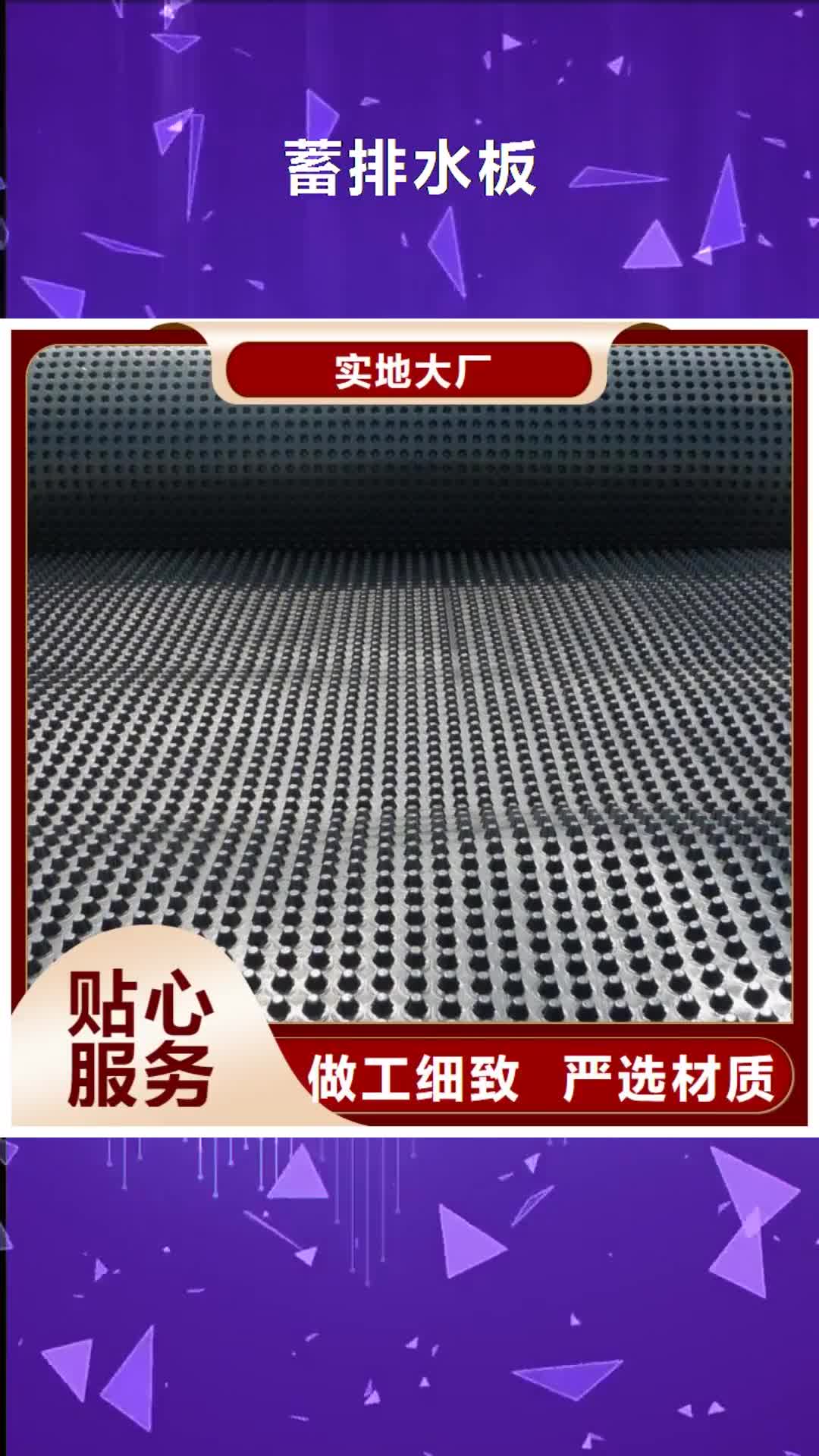 【西安 蓄排水板_三维复合排水网批发供应】