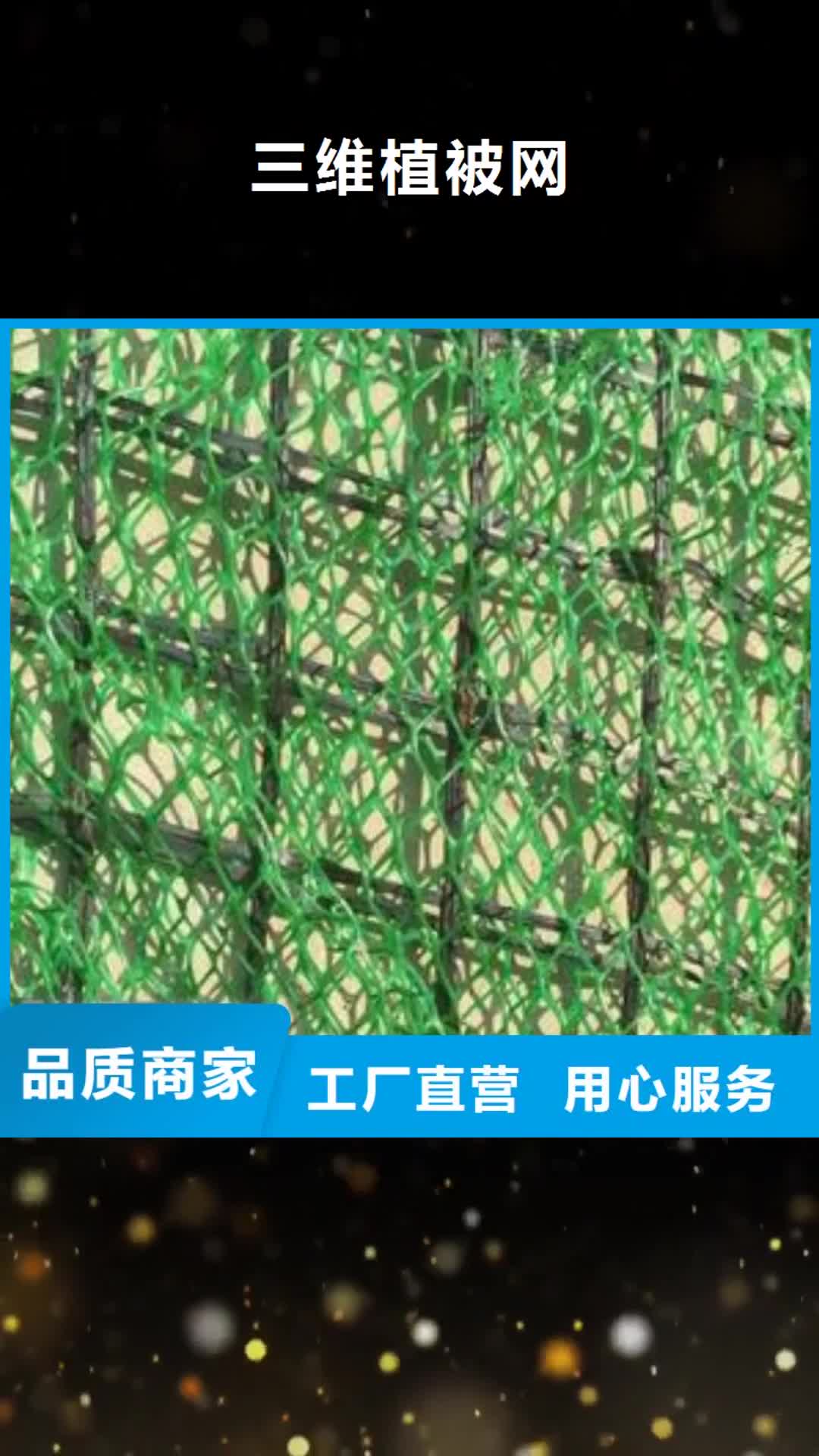 【孝感 三维植被网 三维复合排水网源头采购】