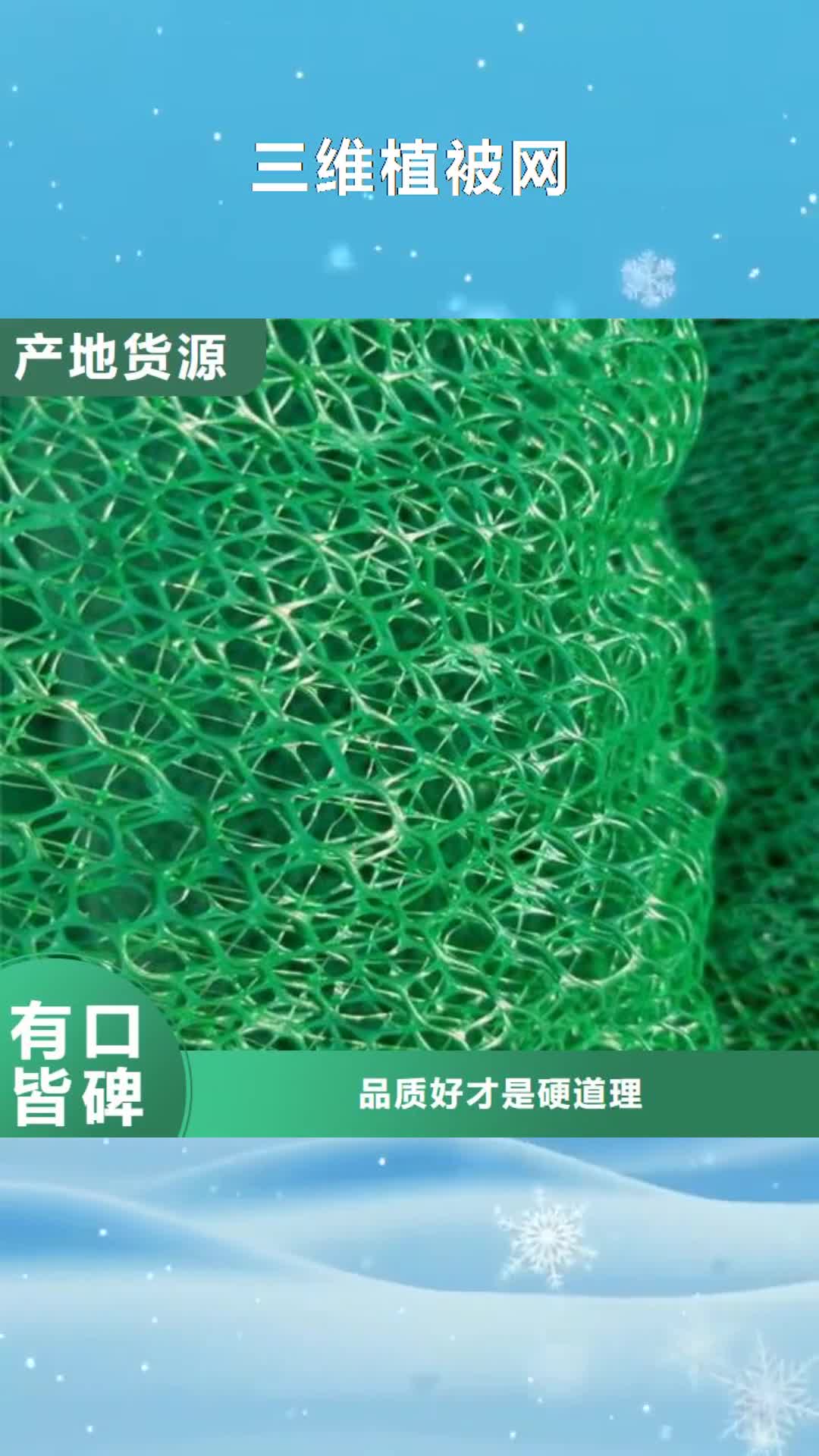 【南平 三维植被网一个起售】