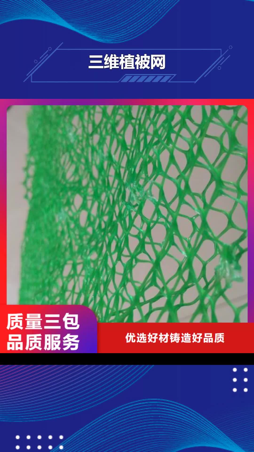 【岳阳 三维植被网_塑料盲沟一站式采购商】