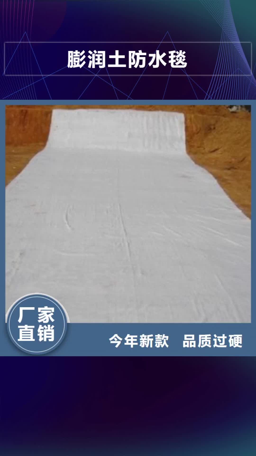 西宁【膨润土防水毯】 复合土工膜精心