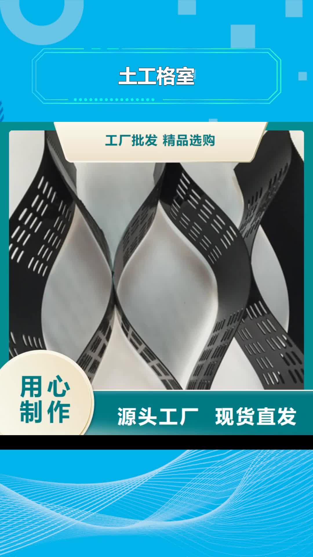 汕尾【土工格室】-单向拉伸塑料格栅自有厂家