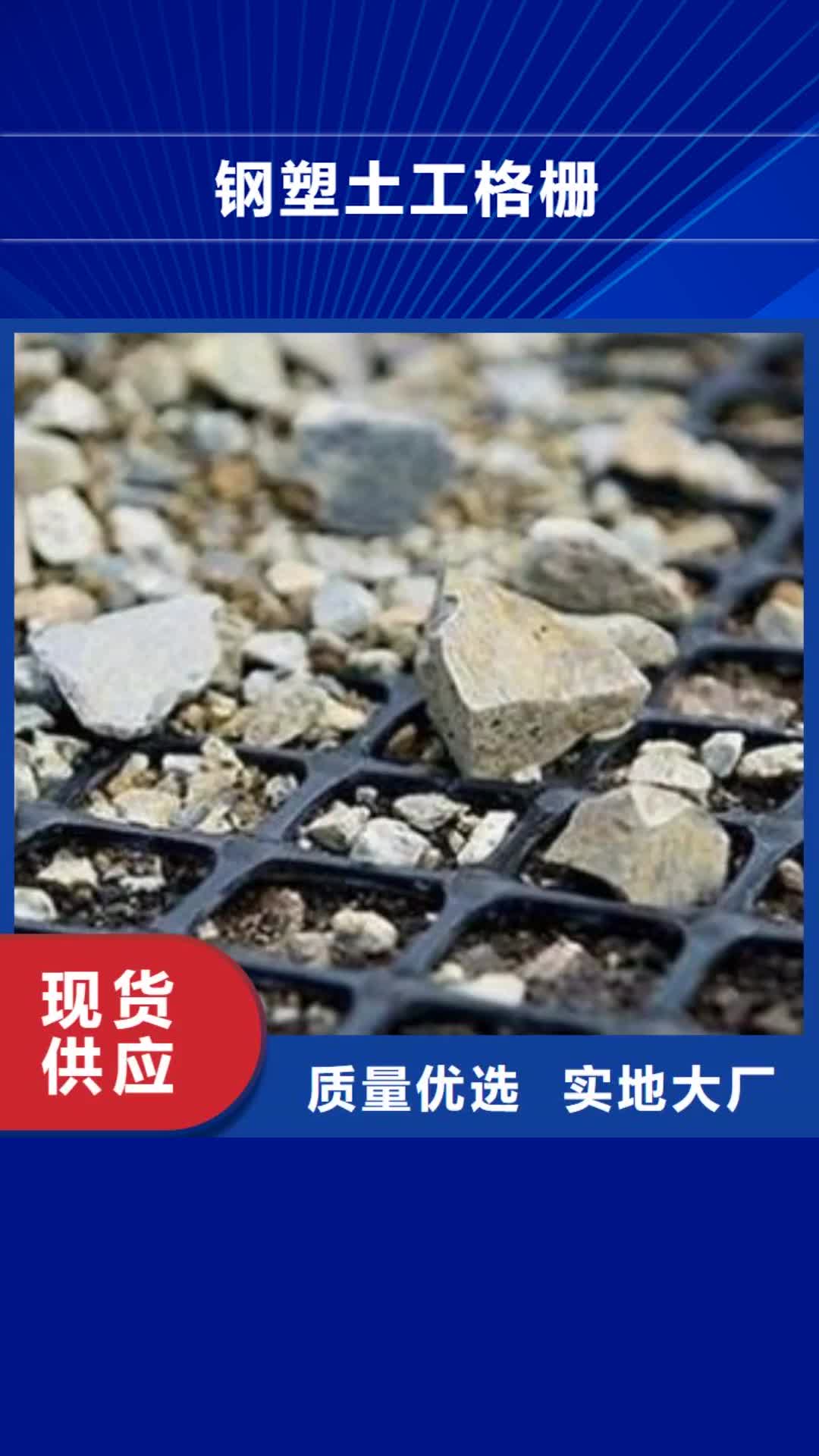 日照 钢塑土工格栅【HDPE土工膜】厂家新品