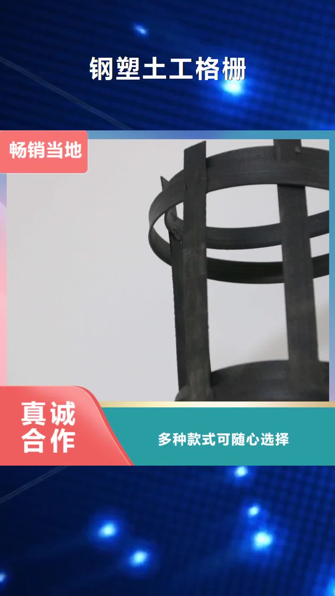 珠海【钢塑土工格栅】-聚丙烯双拉土工格栅市场行情