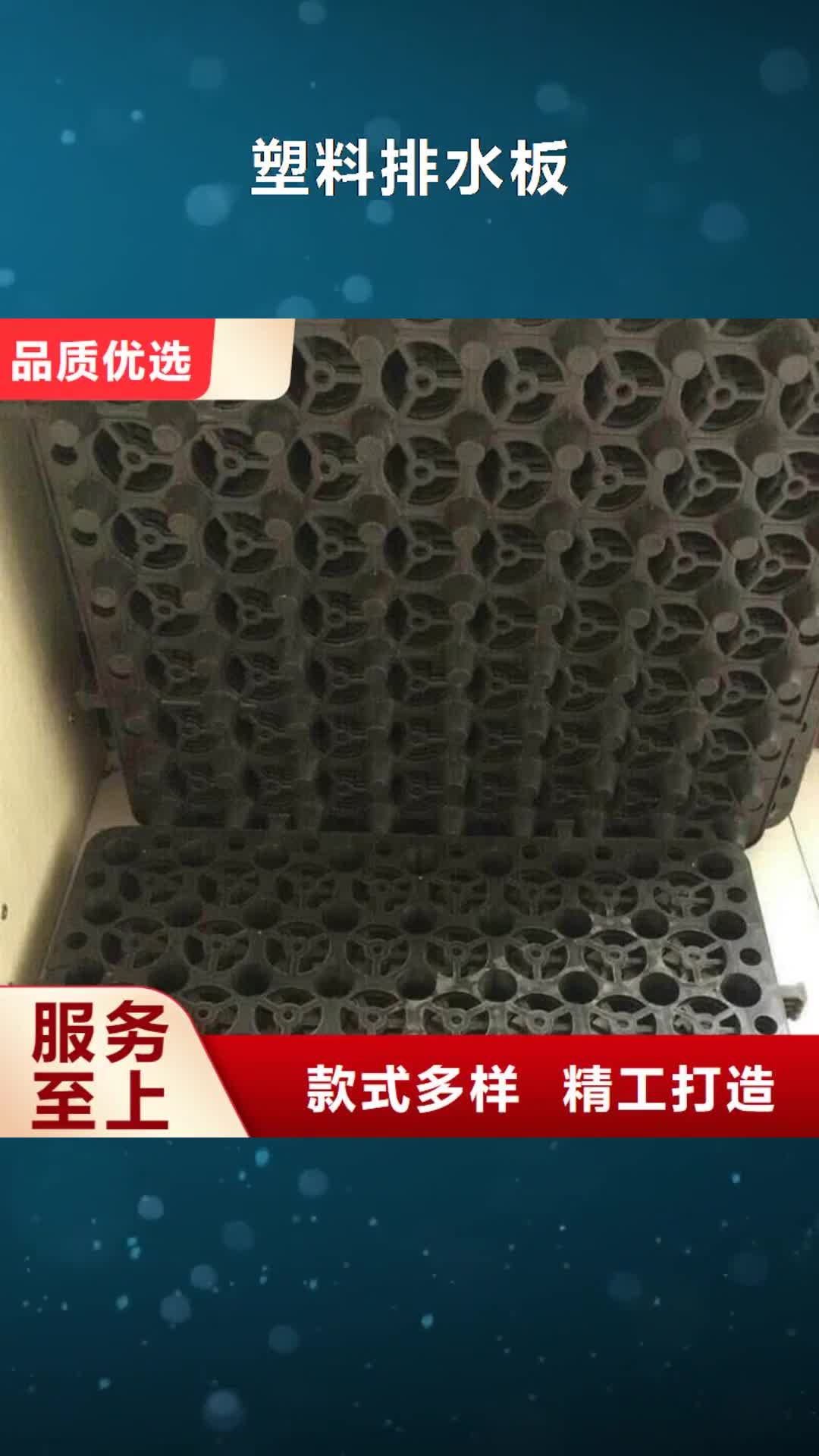 【阿坝 塑料排水板-钢塑土工格栅厂家实力厂家】