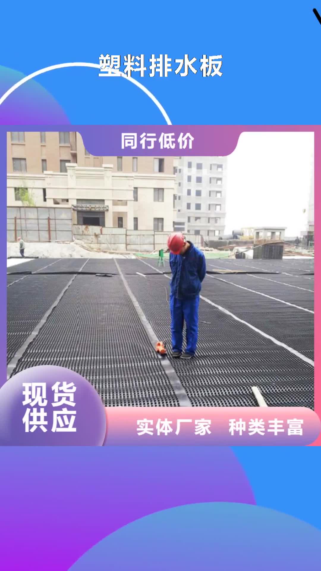 【辽宁 塑料排水板钢塑土工格栅厂家注重细节】