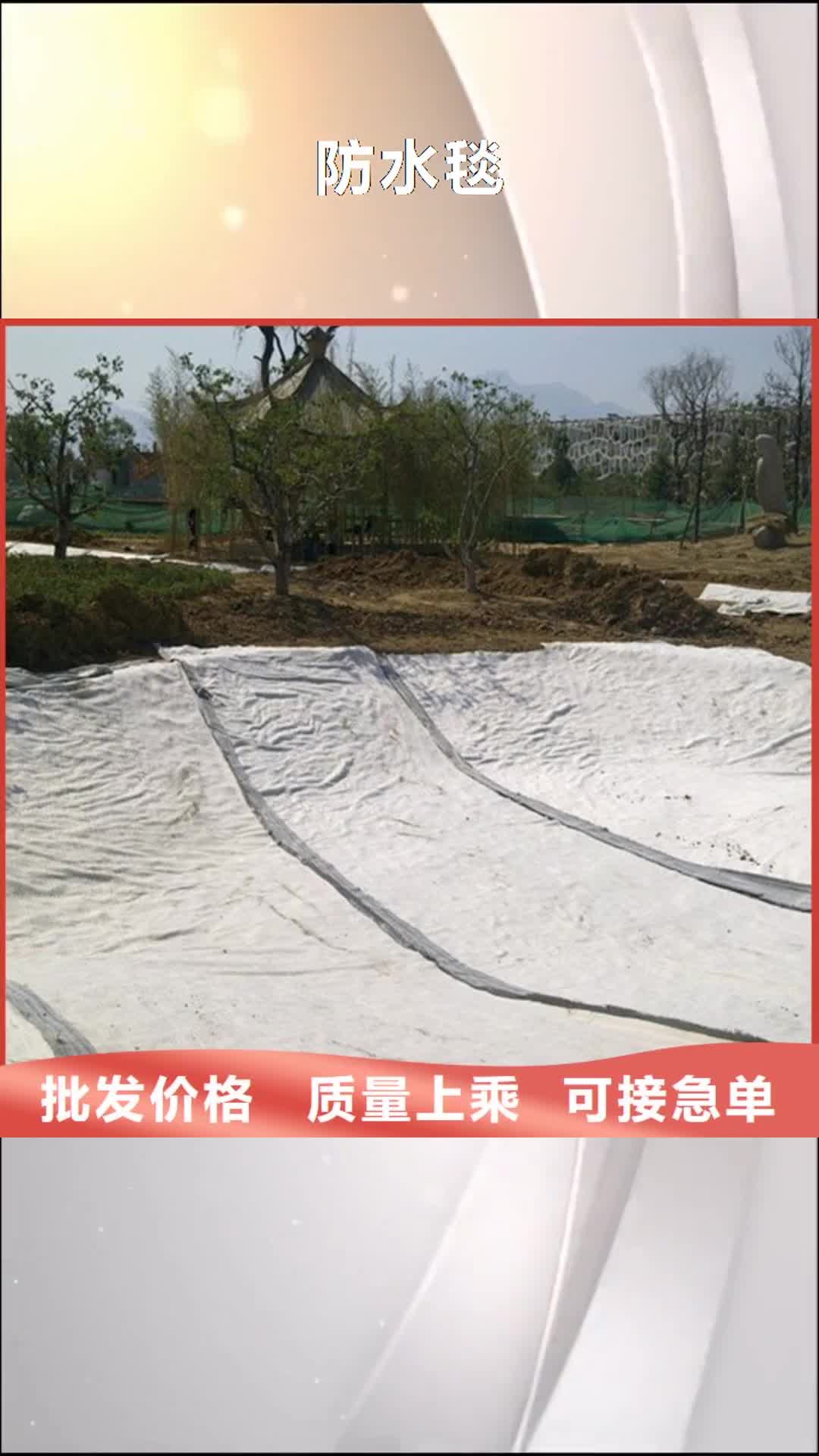 阳泉 防水毯 【三维植被网厂家】好产品放心购