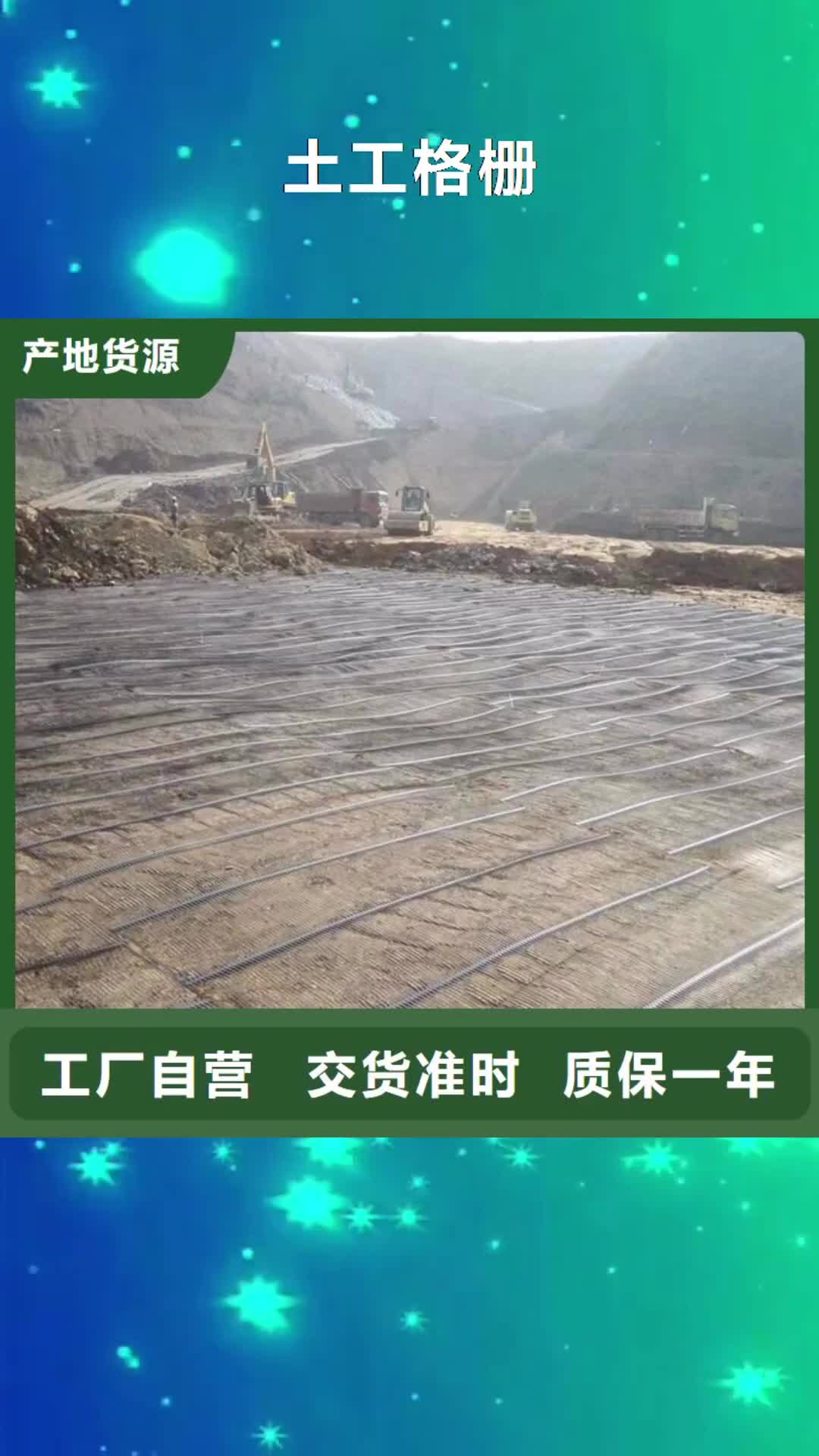 【乐山 土工格栅-多向塑料土工格栅厂家直销值得选择】