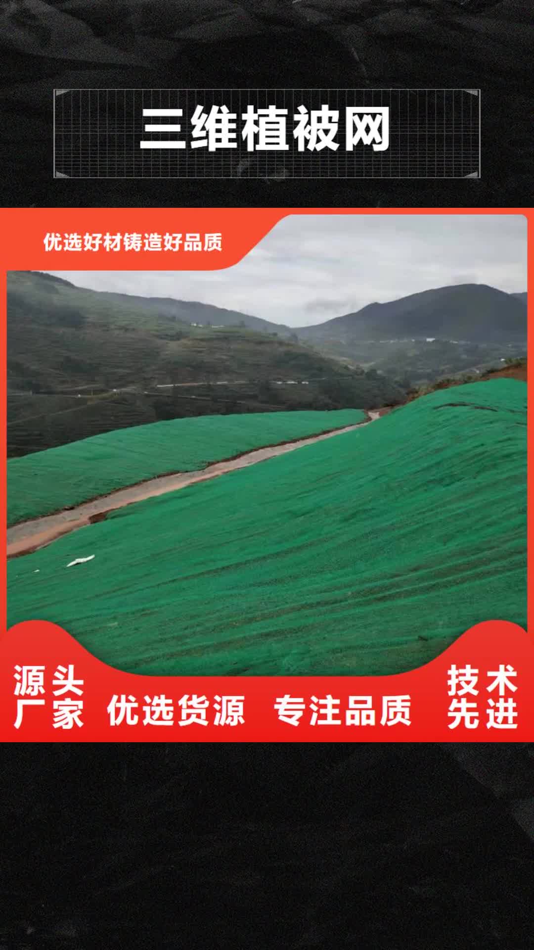 【肇庆 三维植被网-硬式透水管实拍品质保障】