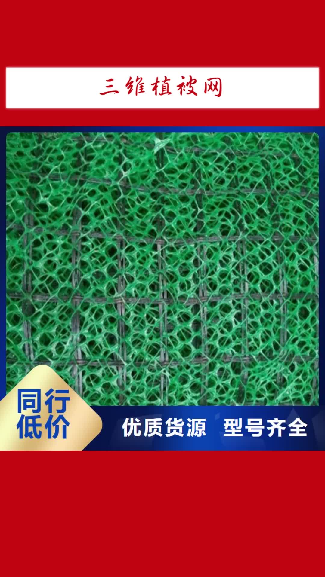 邵阳 三维植被网 【聚丙烯双拉土工格栅】质量牢靠