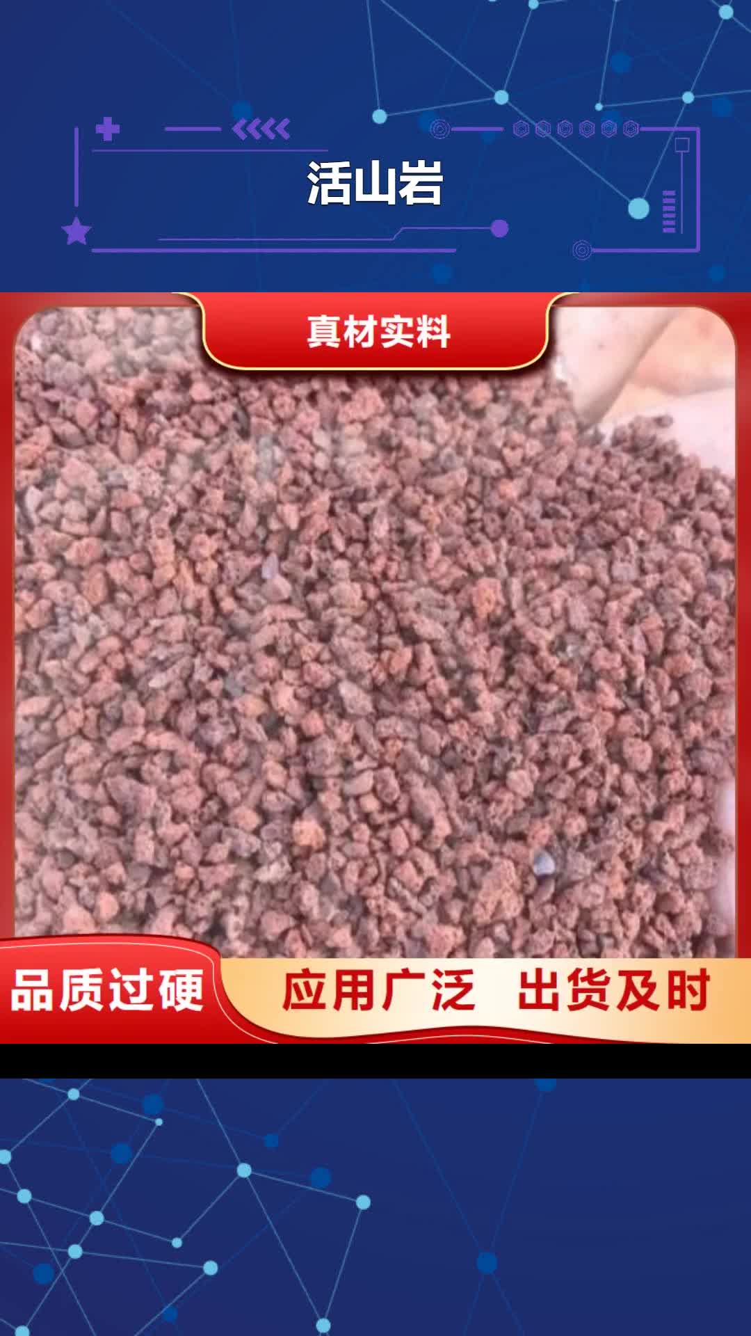 【六安 活山岩_PAM阴离子专业的生产厂家】