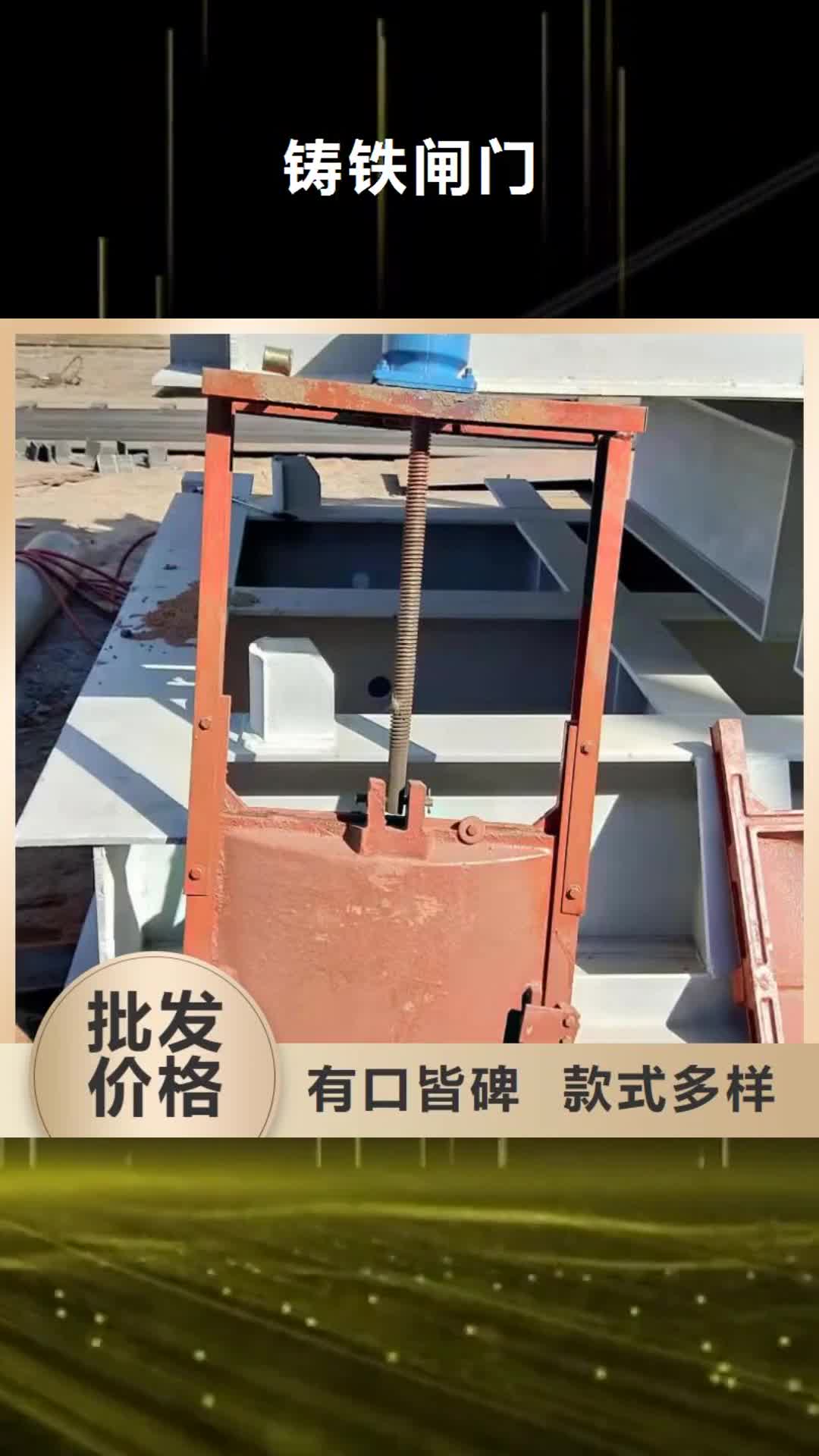 海北【铸铁闸门】手电两用启闭机认准大品牌厂家