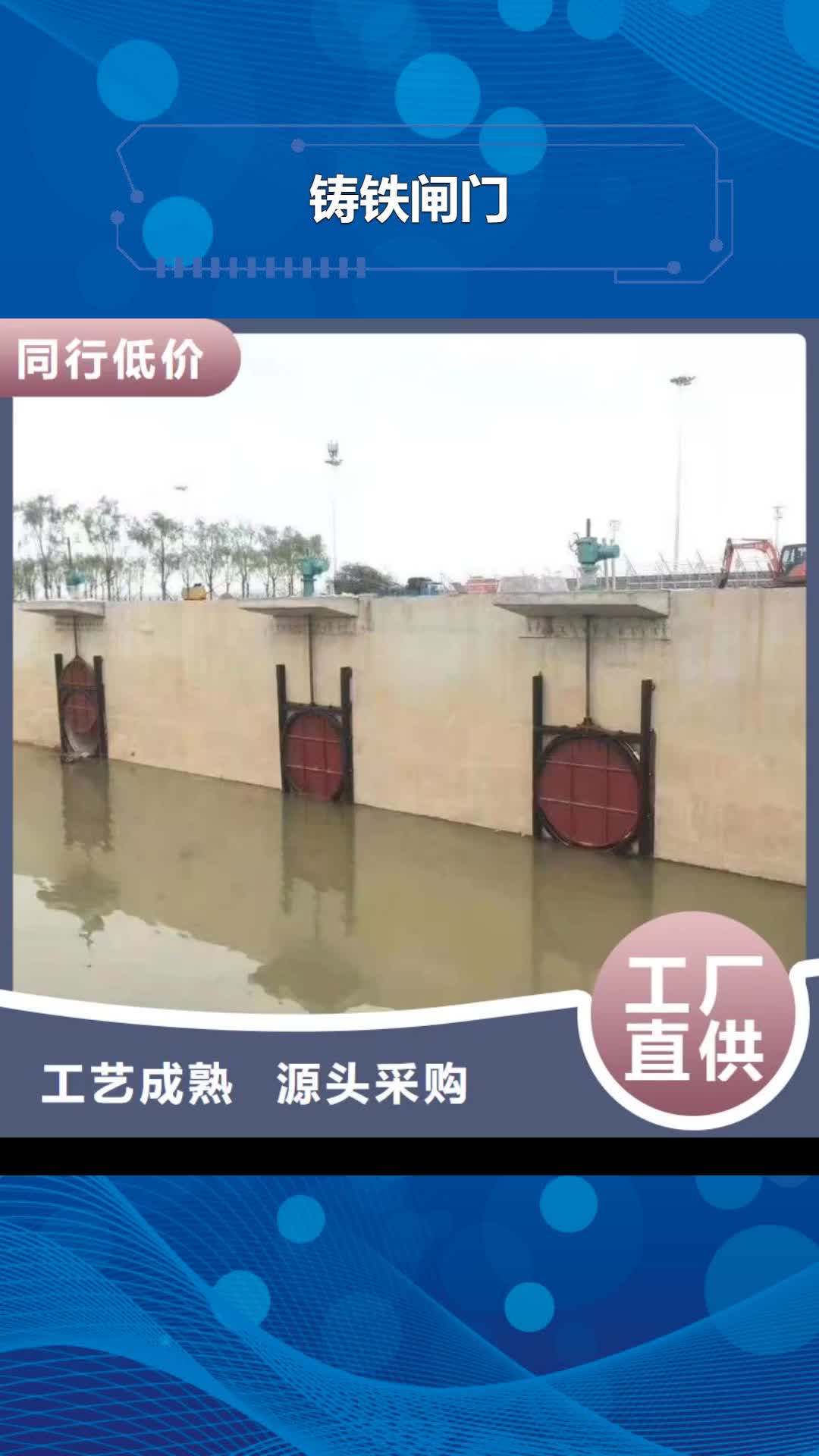 【攀枝花铸铁闸门-螺杆启闭机厂家产品细节参数】