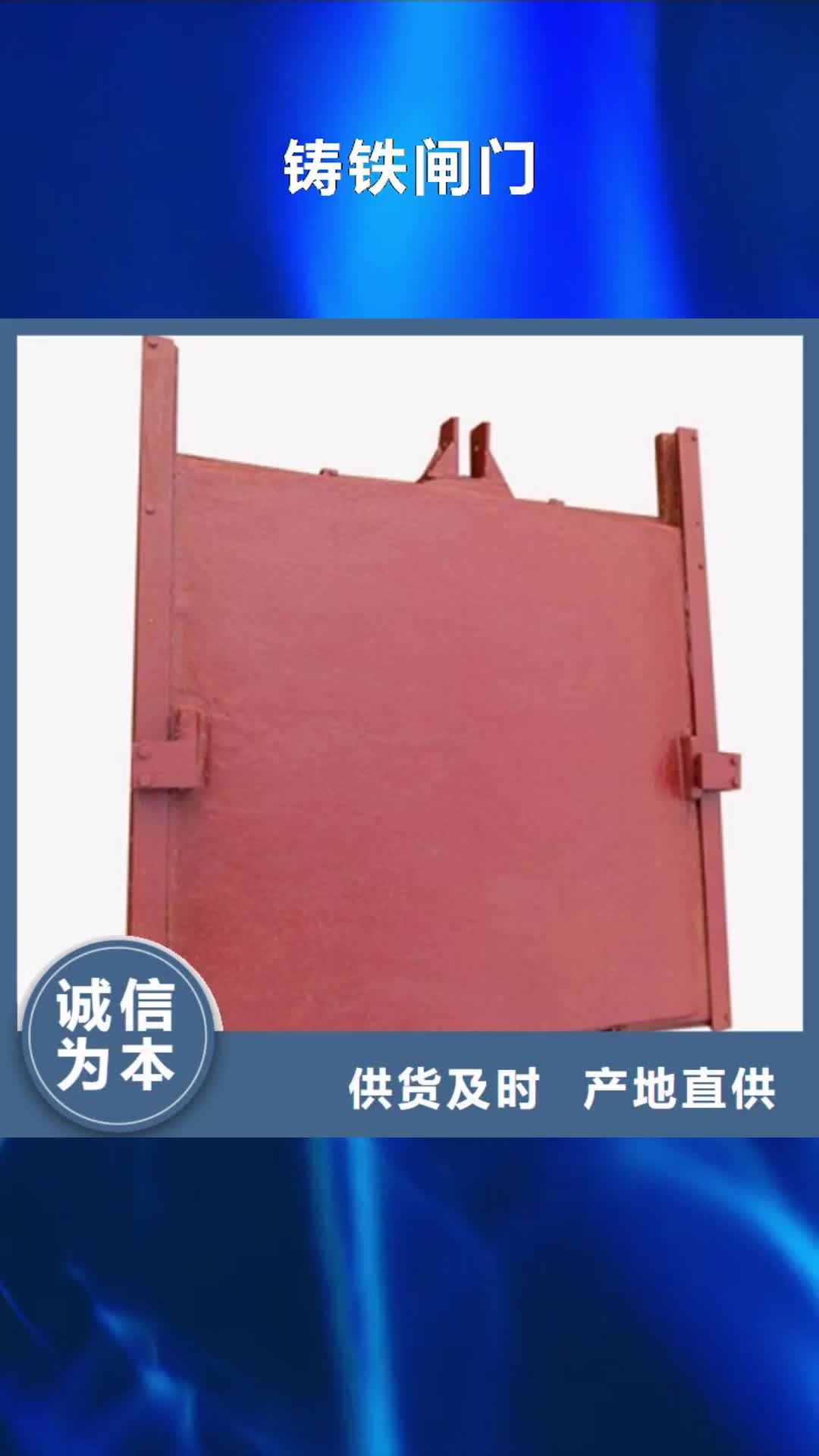 云浮 铸铁闸门-【拍门厂家】客户满意度高