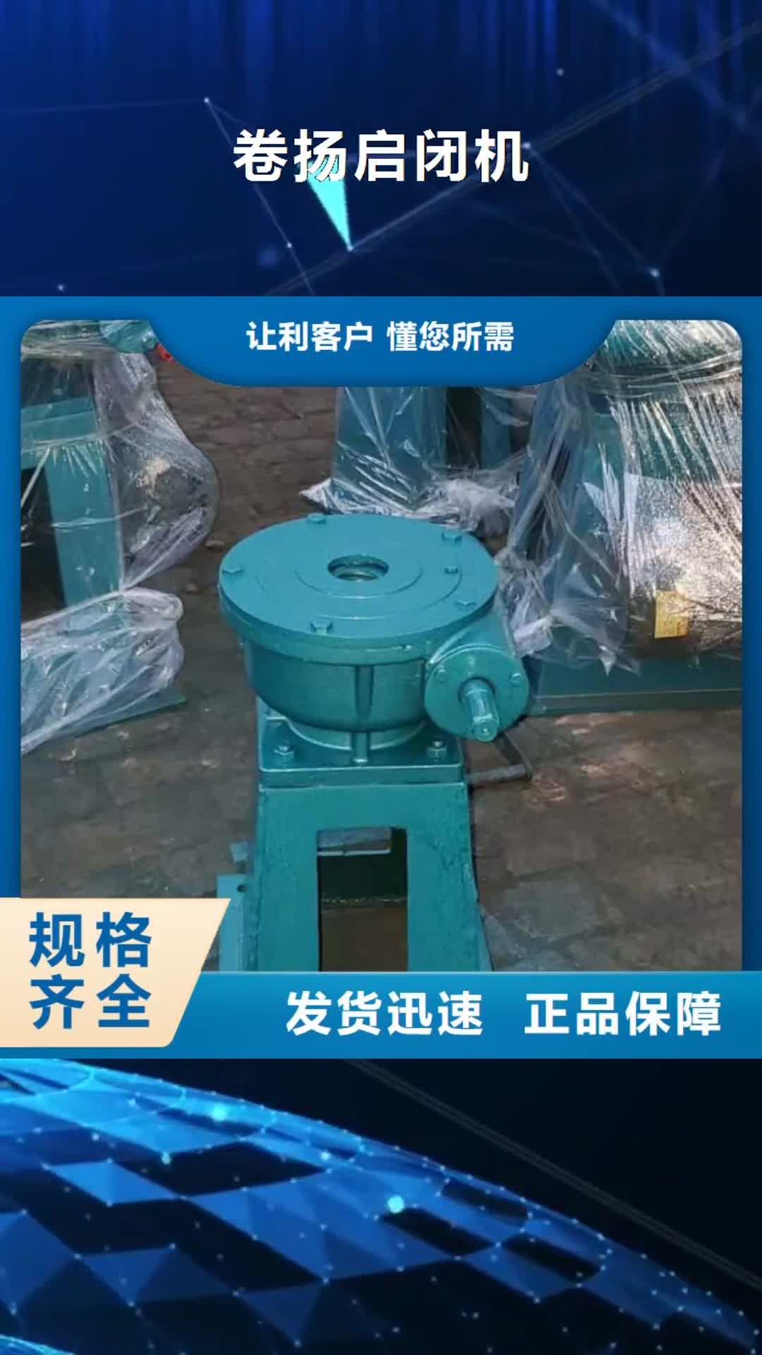 泰安 卷扬启闭机-【拍门】性价比高