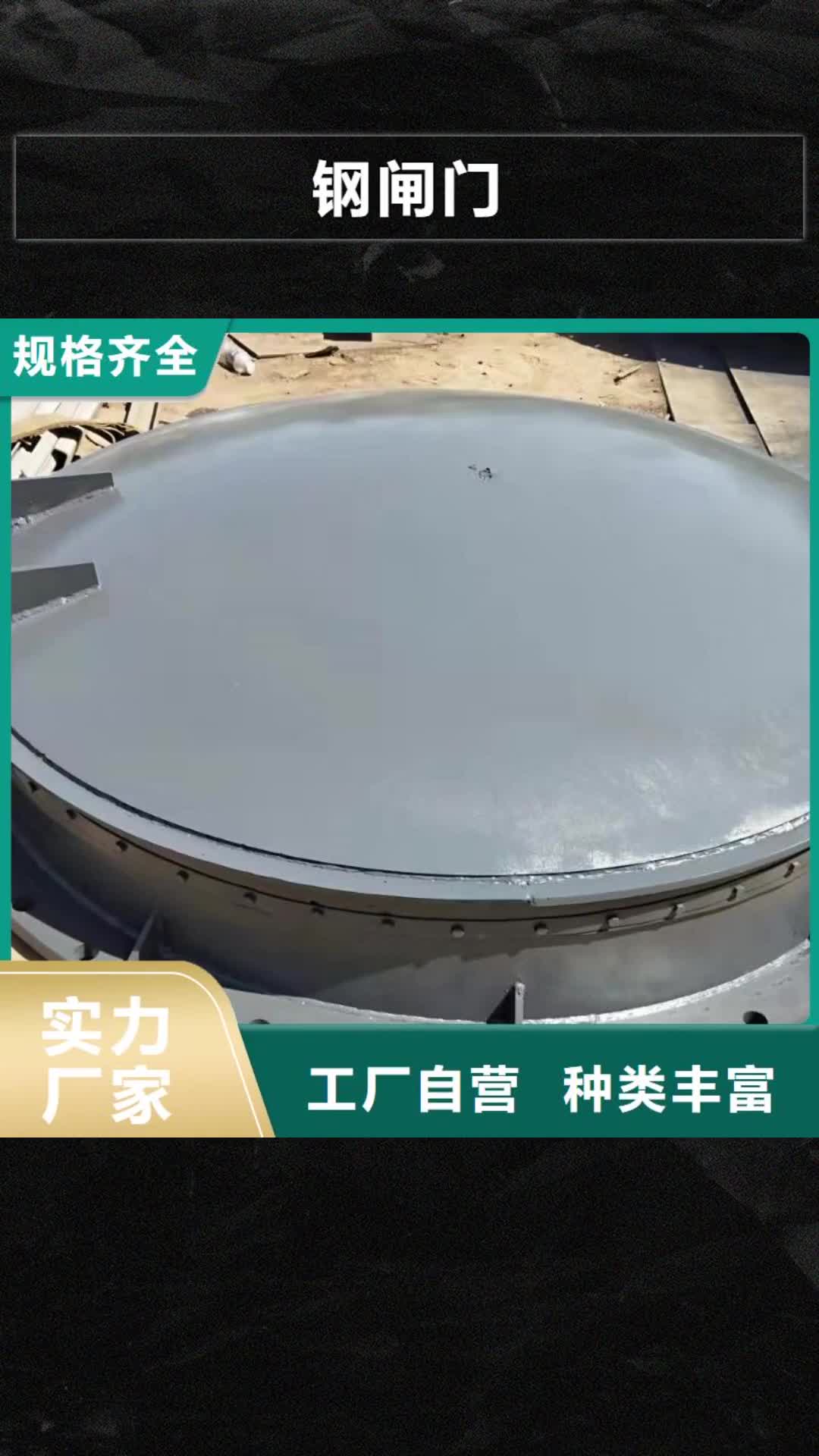 巴中钢闸门 【启闭机闸门厂家】质量优选