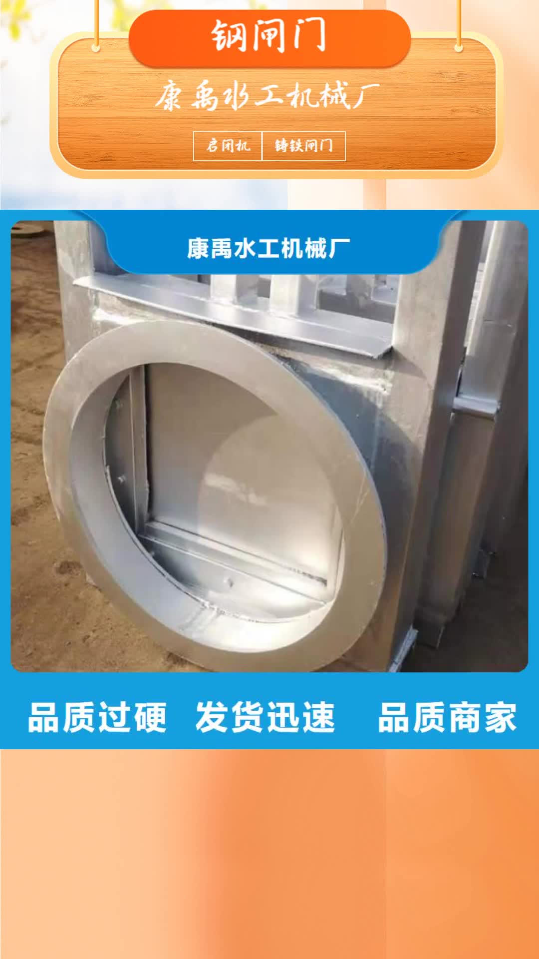 三亚【钢闸门】_铸铁拍门支持定制批发