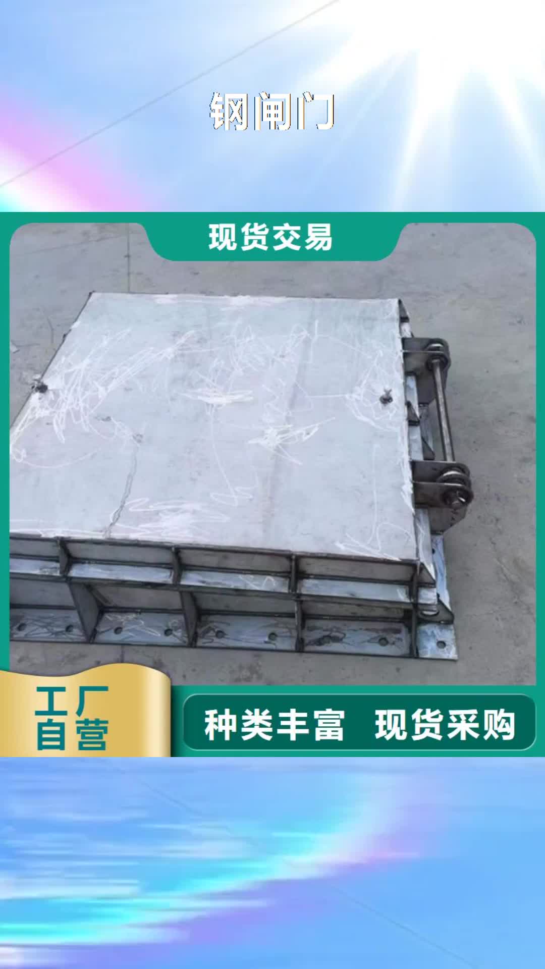 【宣城 钢闸门_手电两用启闭机物美价优】