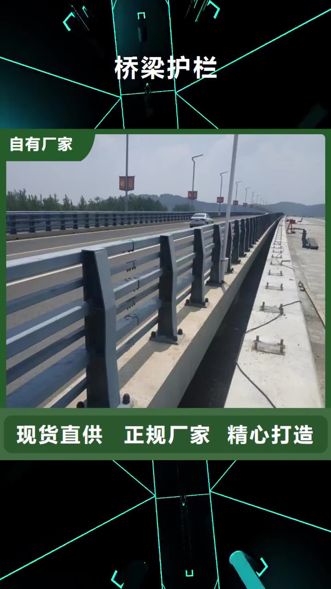 崇左 桥梁护栏,【钢结构防撞护栏】严选好货