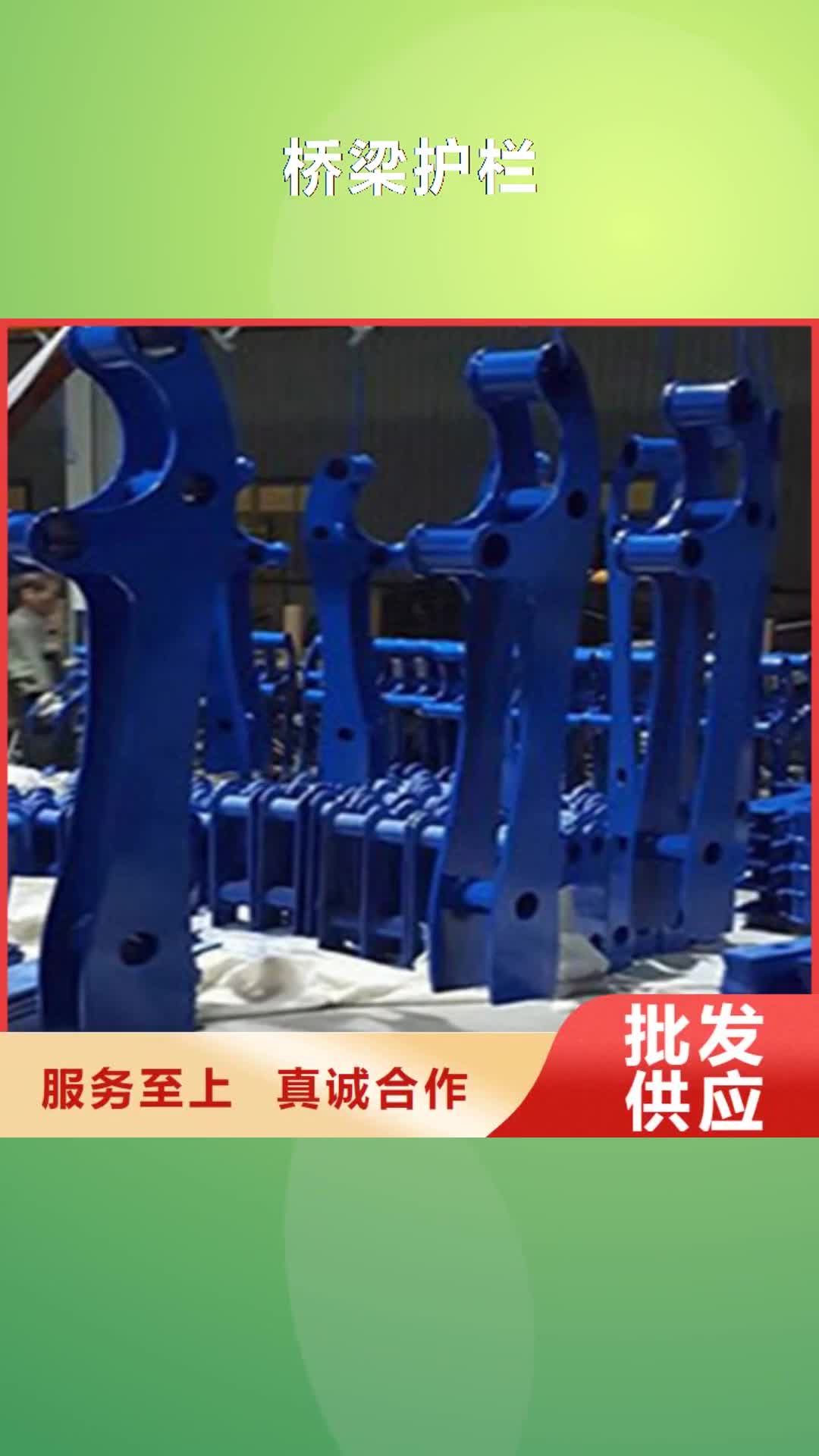 雅安 桥梁护栏-【景观护栏】厂家直销省心省钱
