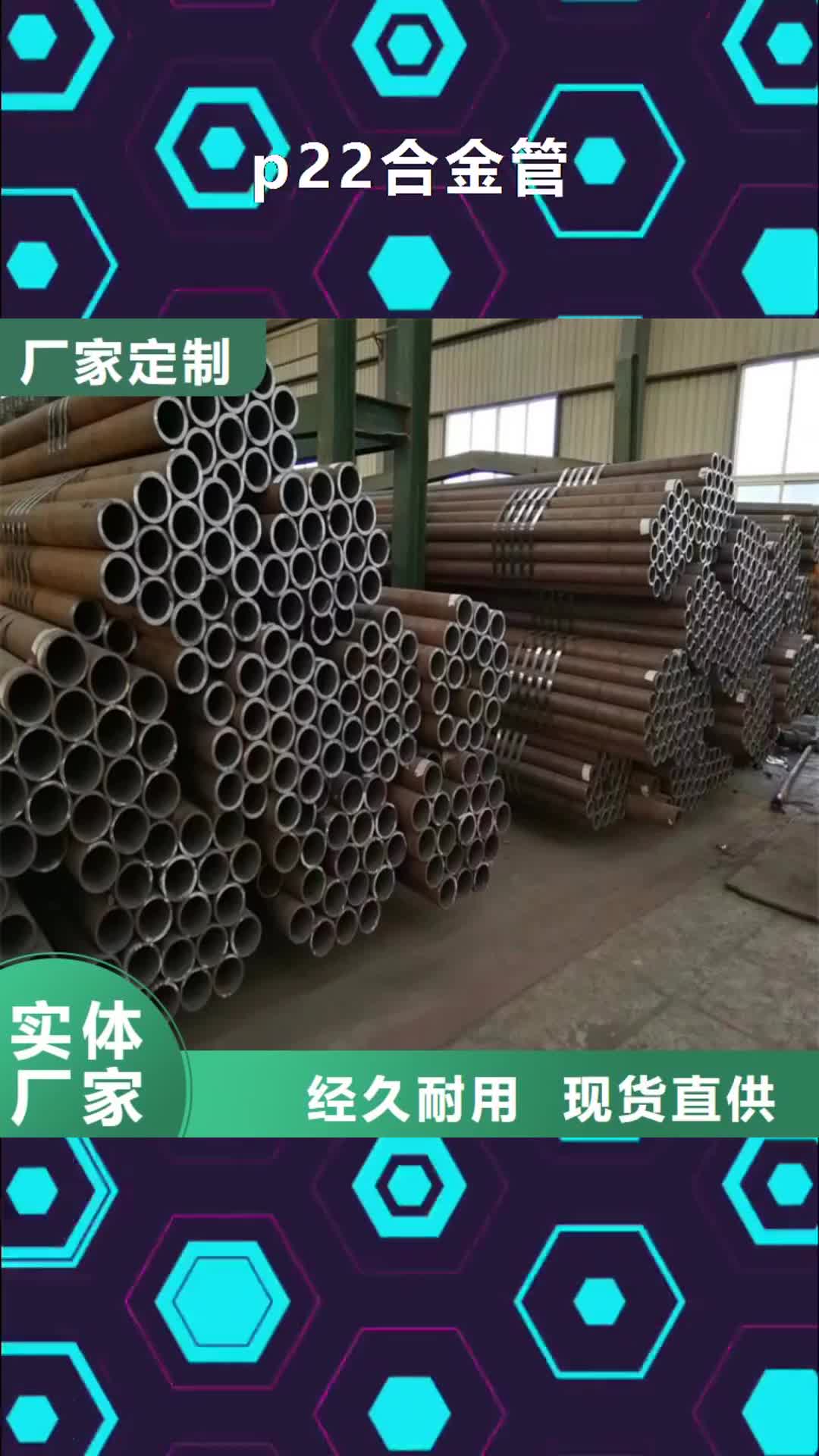六安【p22合金管】-T91合金管免费询价