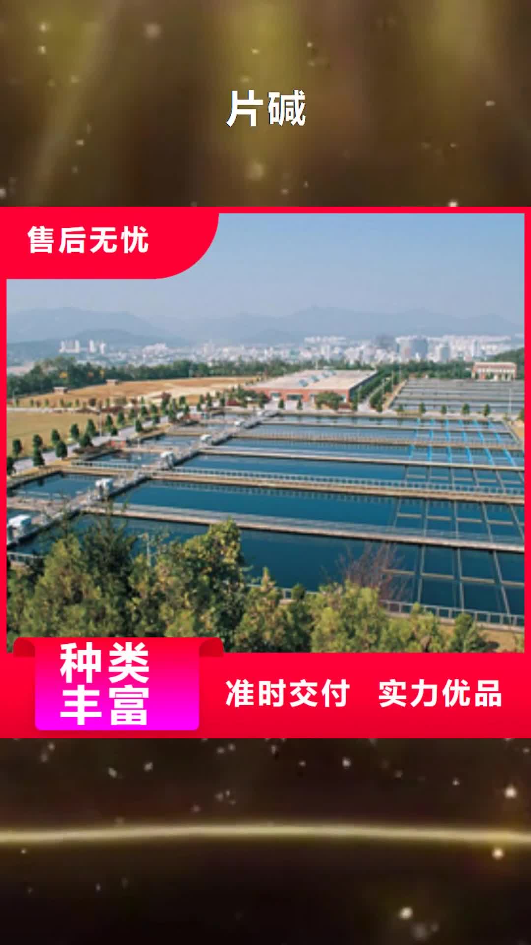 【阿拉善 片碱-聚合硫酸铁实体厂家支持定制】
