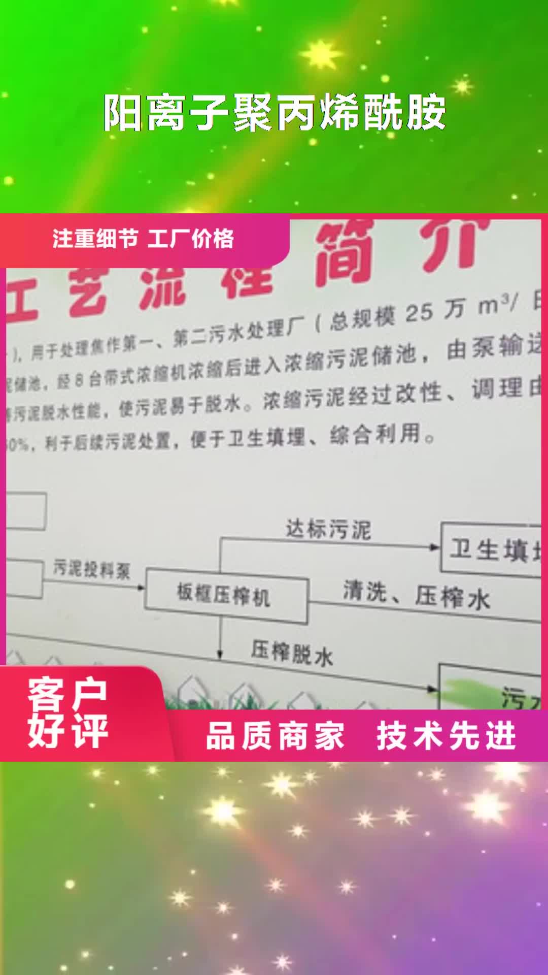 【云浮 阳离子聚丙烯酰胺 除磷剂快速生产】
