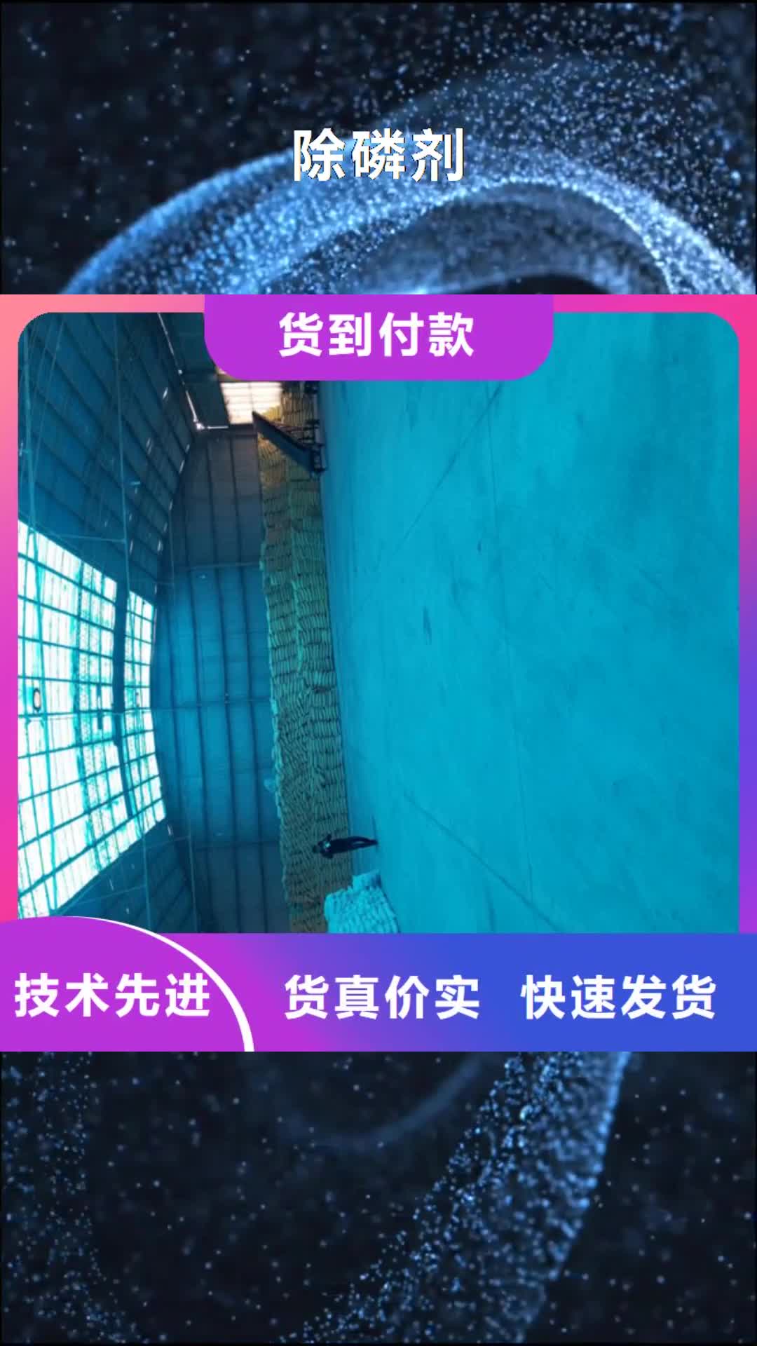 唐山 除磷剂【生物碳源】今日价格