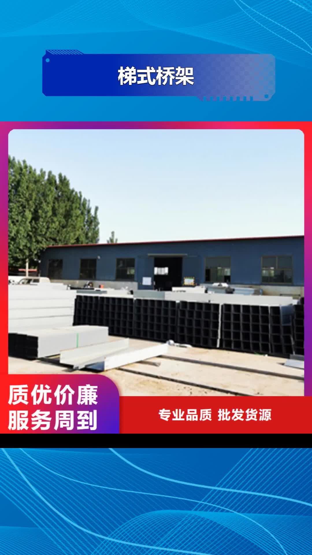 长沙梯式桥架-【托盘式桥架厂家】细节之处更加用心