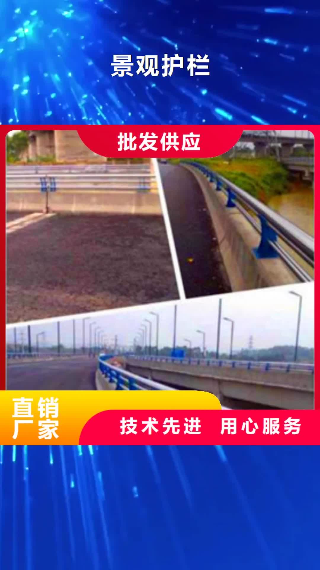 【萍乡 景观护栏,灯光栏杆拒绝差价】