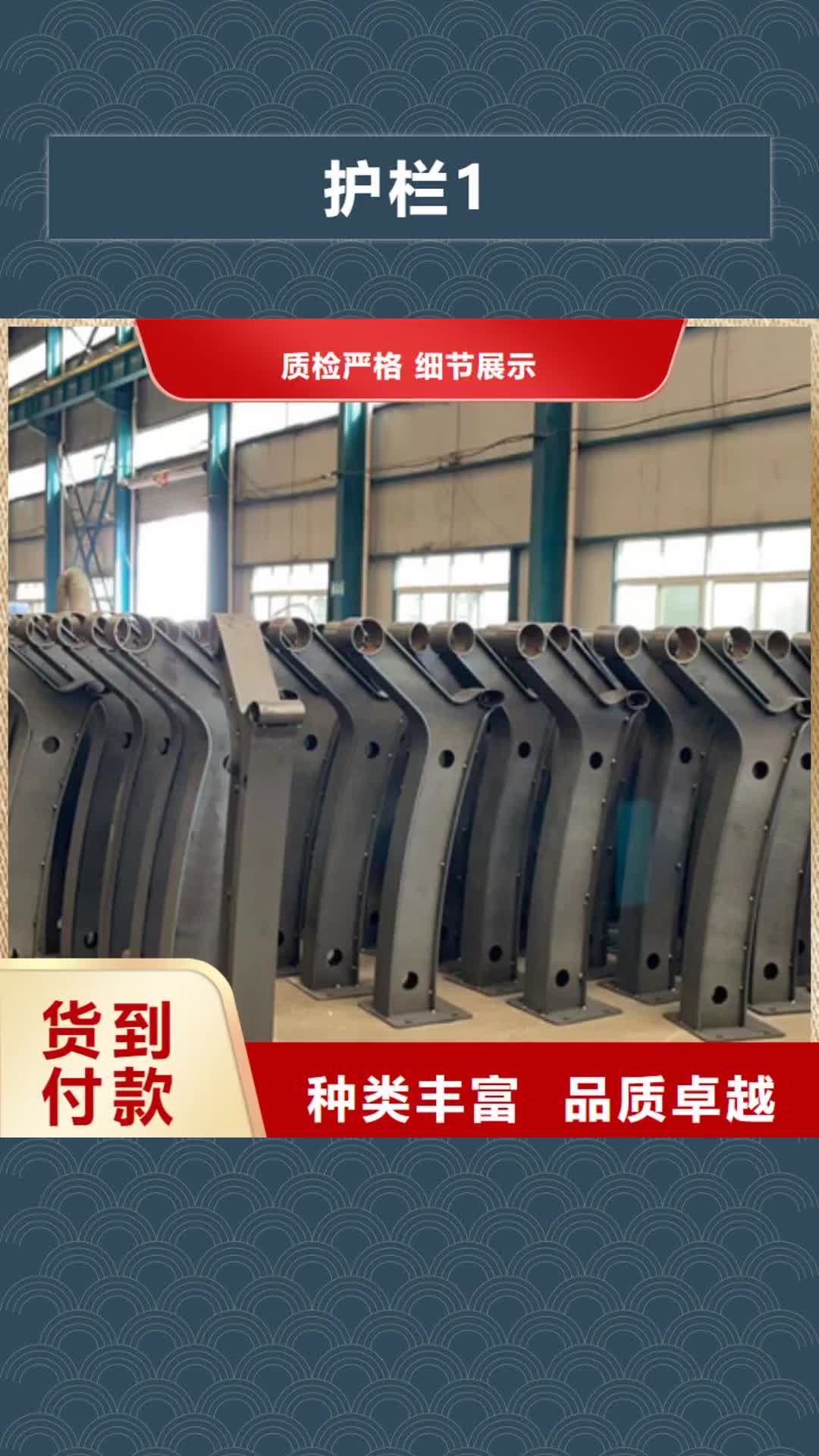 漳州【护栏1】,桥梁护栏厂专注质量