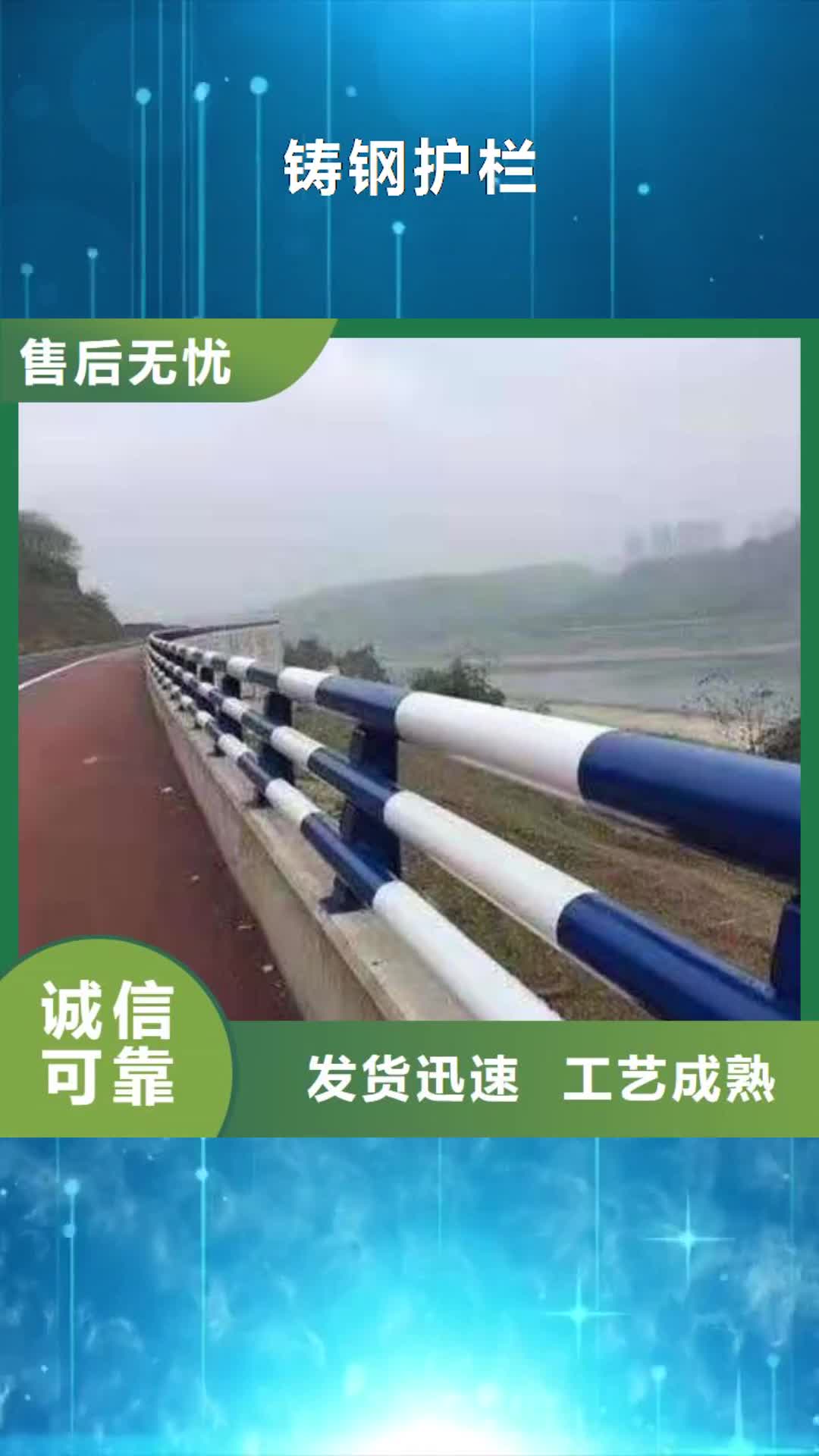 【泸州 铸钢护栏河道护栏设备齐全支持定制】