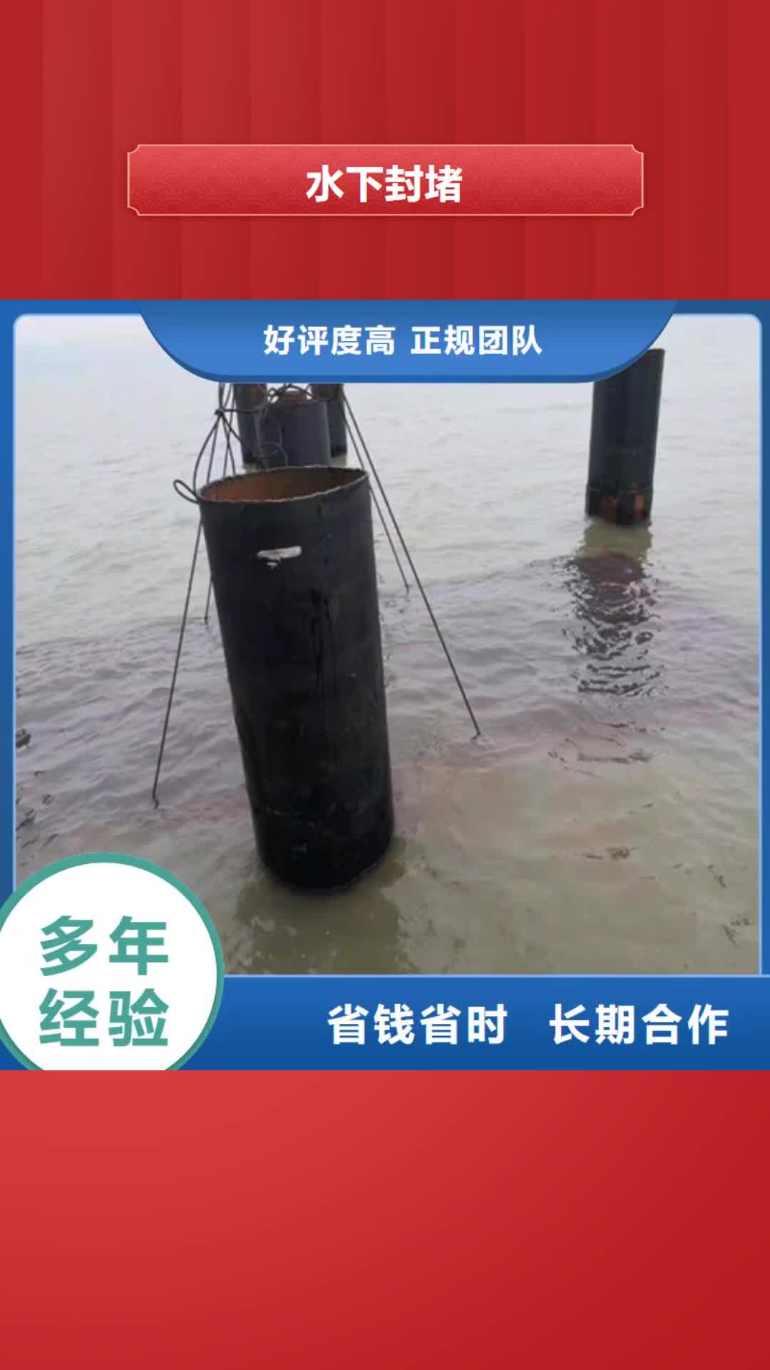 内蒙古 水下封堵-【水下管道安装】值得信赖