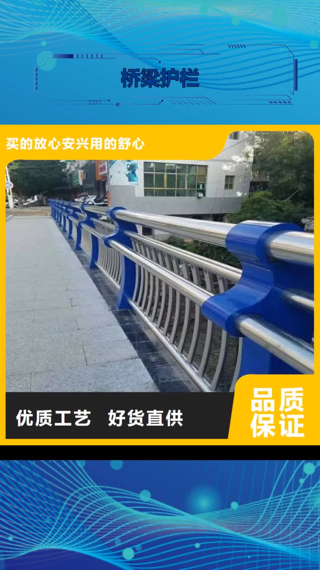 平凉 桥梁护栏【灯光护栏】源厂定制