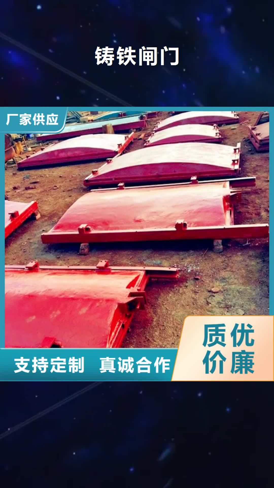 【开封 铸铁闸门,钢制拍门厂家厂家质量过硬】