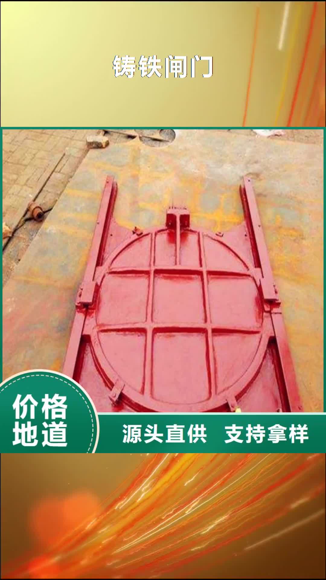 雅安 铸铁闸门 【钢制拍门】好品质售后无忧