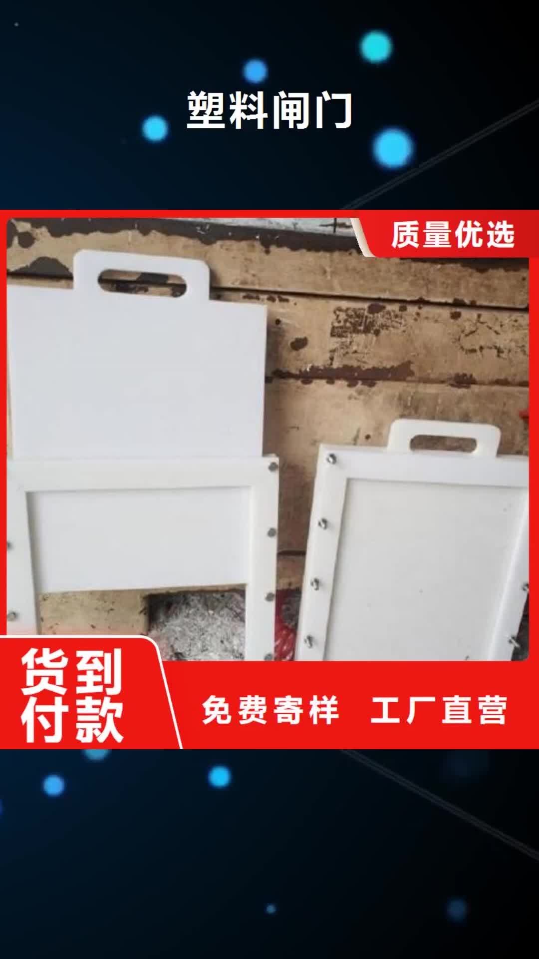【绥化 塑料闸门_铸铁闸门厂家批发供应】