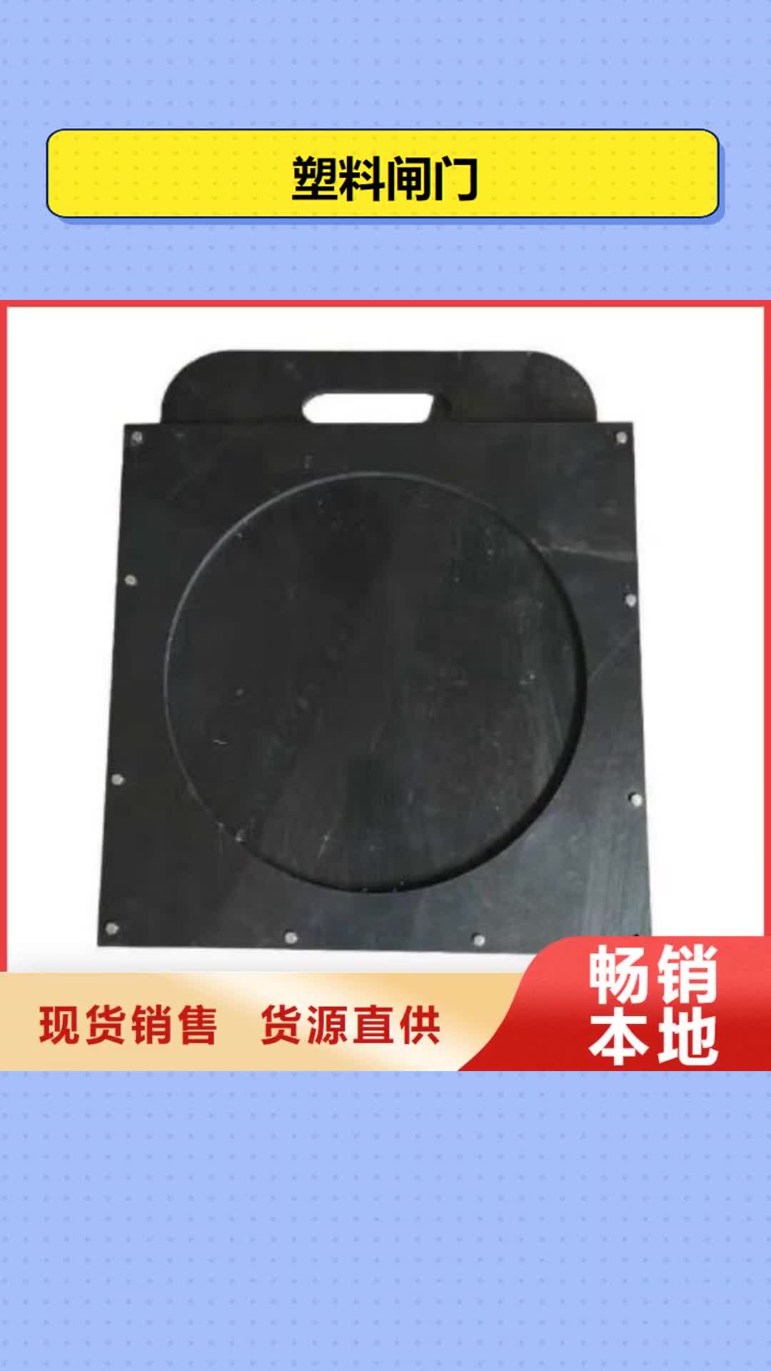 铜陵【塑料闸门】清污机按需设计