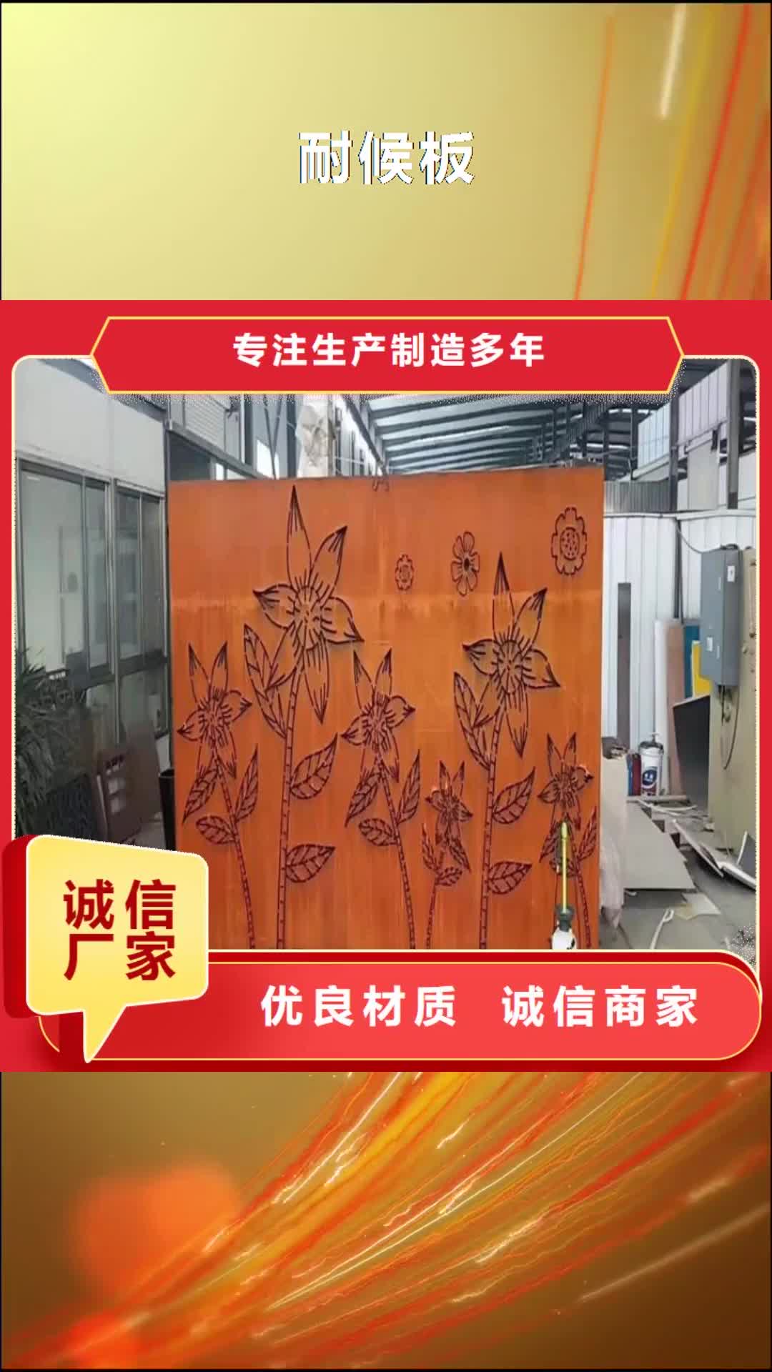 【文山 耐候板弹簧板多年行业经验】