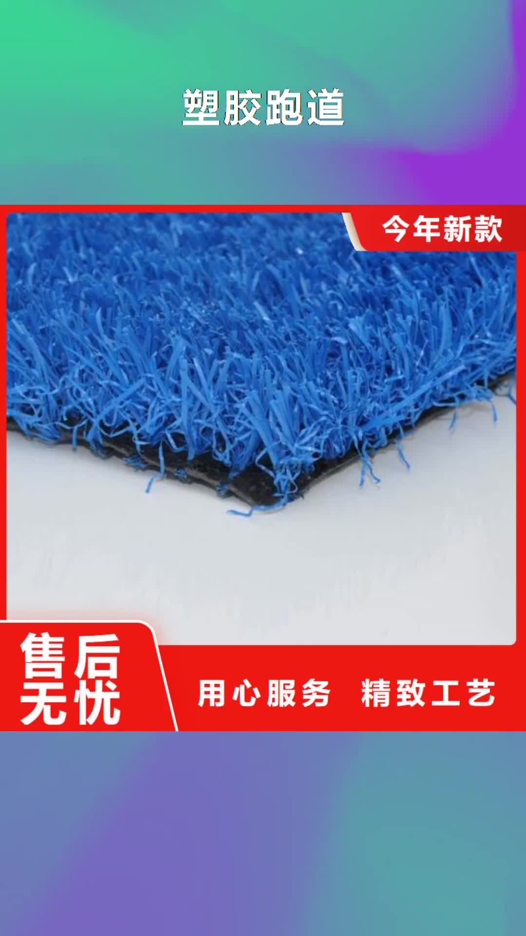 【克拉玛依 塑胶跑道-硅PU球场厂家真材实料】