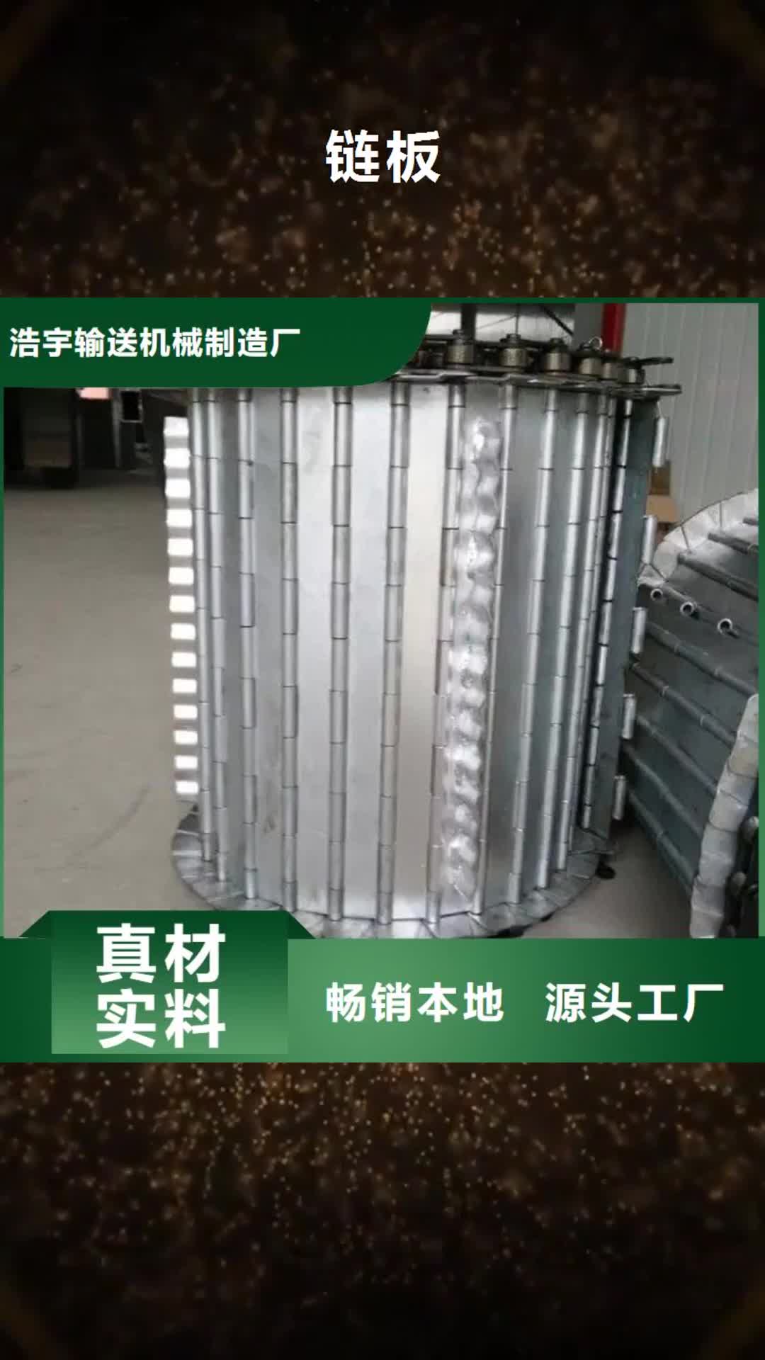 【保定 链板_输送带厂家主推产品】