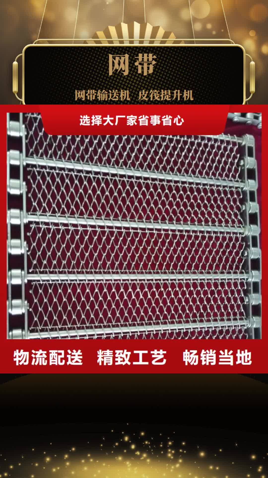 海南 网带_【输送带厂家】拥有多家成功案例